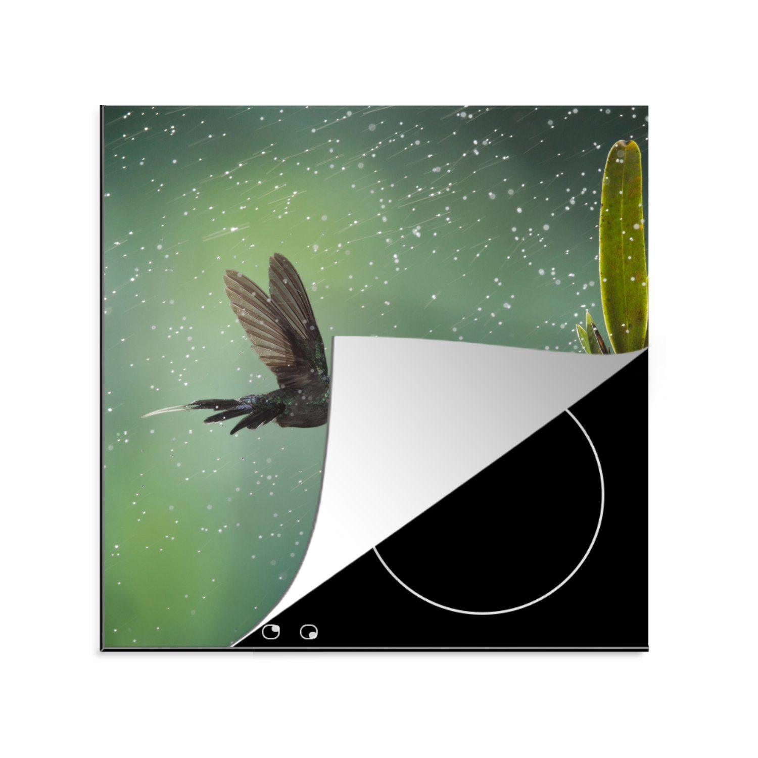 MuchoWow Herdblende-/Abdeckplatte Kolibri im Regen auf dem Lande in Costa Rica, Vinyl, (1 tlg), 78x78 cm, Ceranfeldabdeckung, Arbeitsplatte für küche