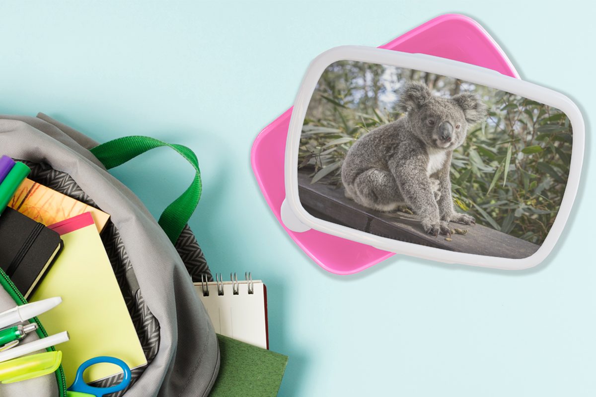 MuchoWow Lunchbox Koala Kinder, - Jungen Brotdose (2-tlg), - Kinder Erwachsene, - Regal Brotbox rosa - Snackbox, Pflanzen Kunststoff Kunststoff, - für Mädchen, Mädchen