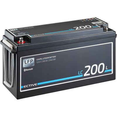 ECTIVE ECTIVE 12V 200Ah LiFePo4 Solar Batterie Lithium BMS Wohnmobil Camper Batterie, (12 V V)