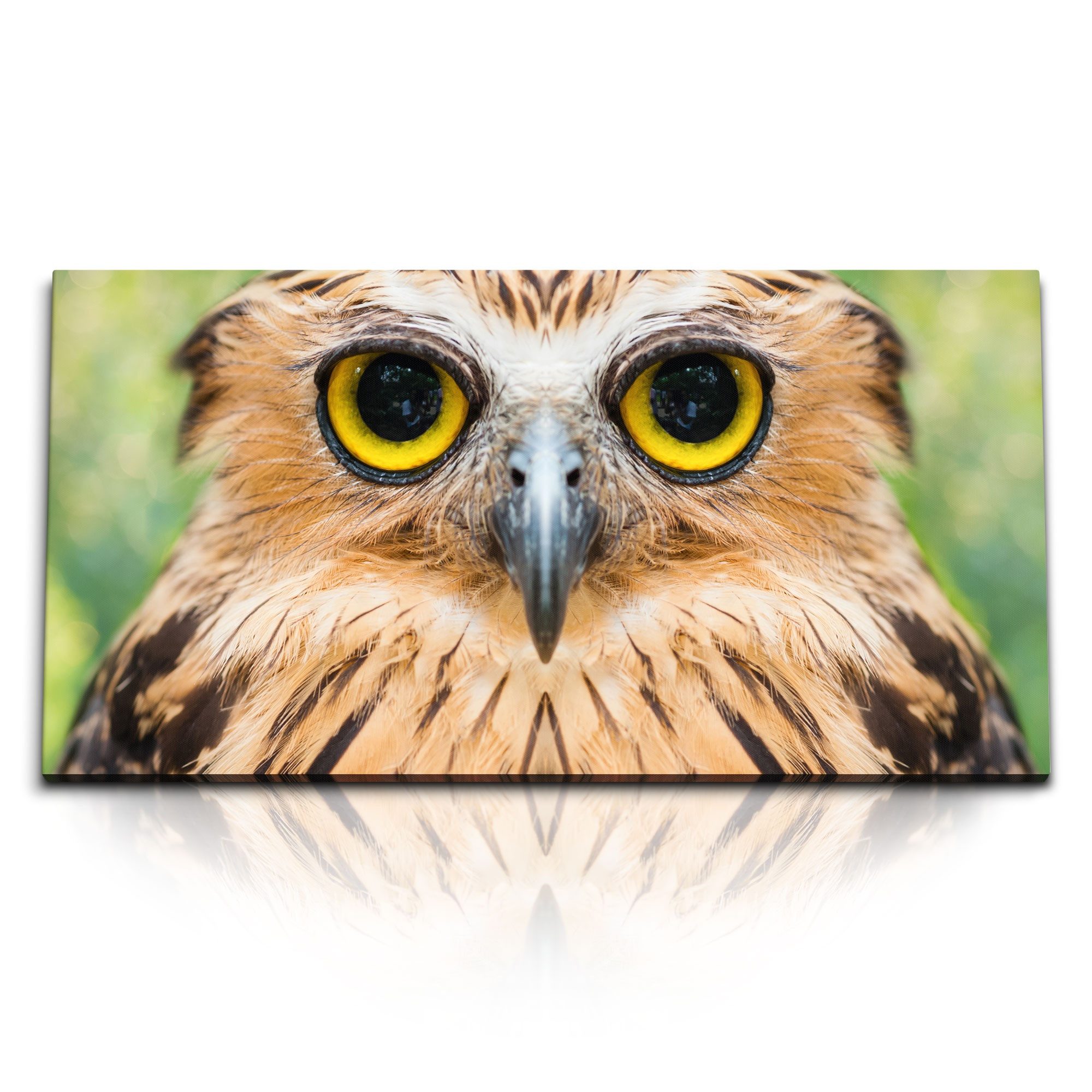 Leinwandbild Kunstdruck Bilder 120x60cm Eule Porträt Tierfotografie Kunstvoll Vogel