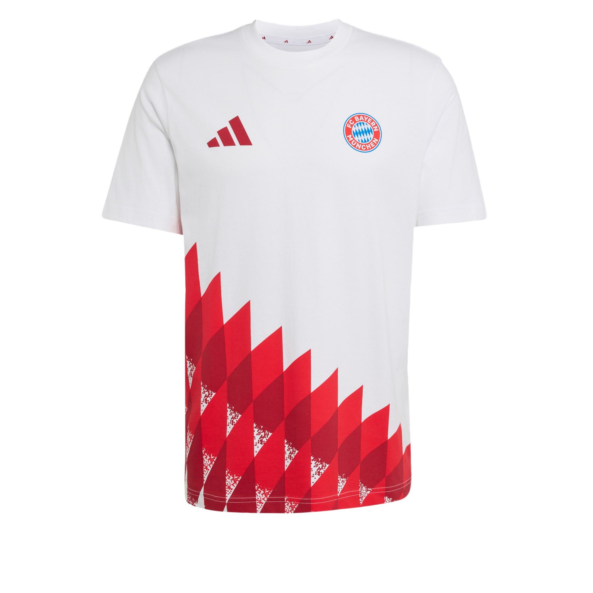 T-Shirt FC BAYERN MÜNCHEN ANTHEM GRAFIK T-SHIRT