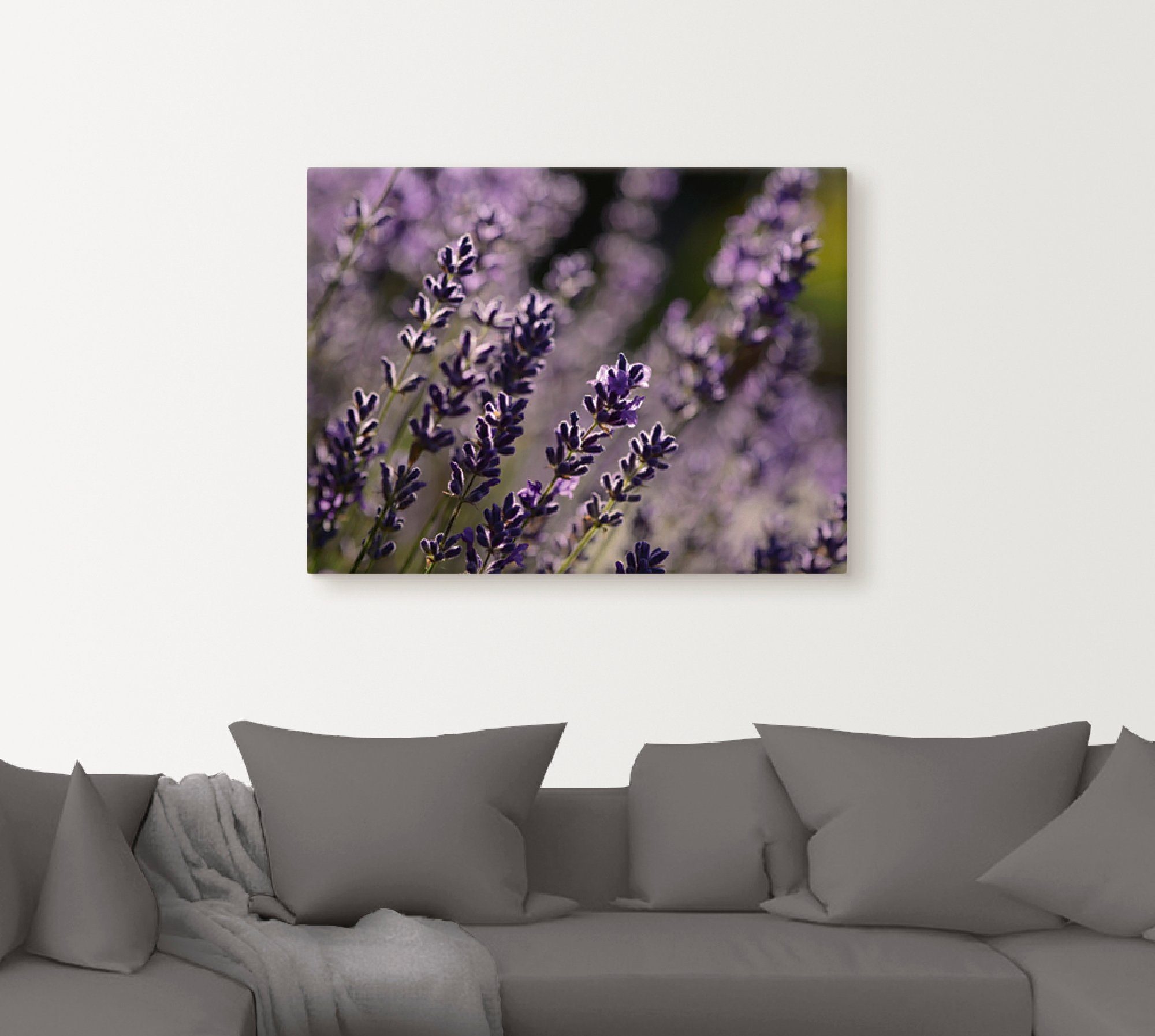 Artland Wandbild Lavendel, (1 als oder Größen St), Poster Blumen versch. Leinwandbild, Wandaufkleber in