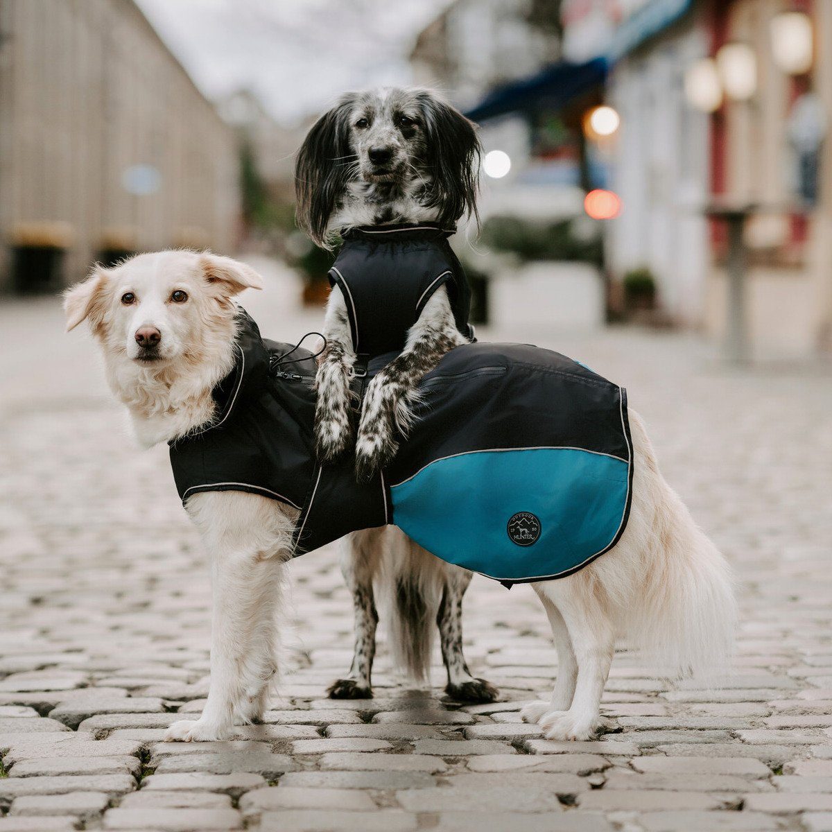 Hunter Tierbedarf Hundemantel Hundemantel Uppsala Allrounder anthrazit/petrol