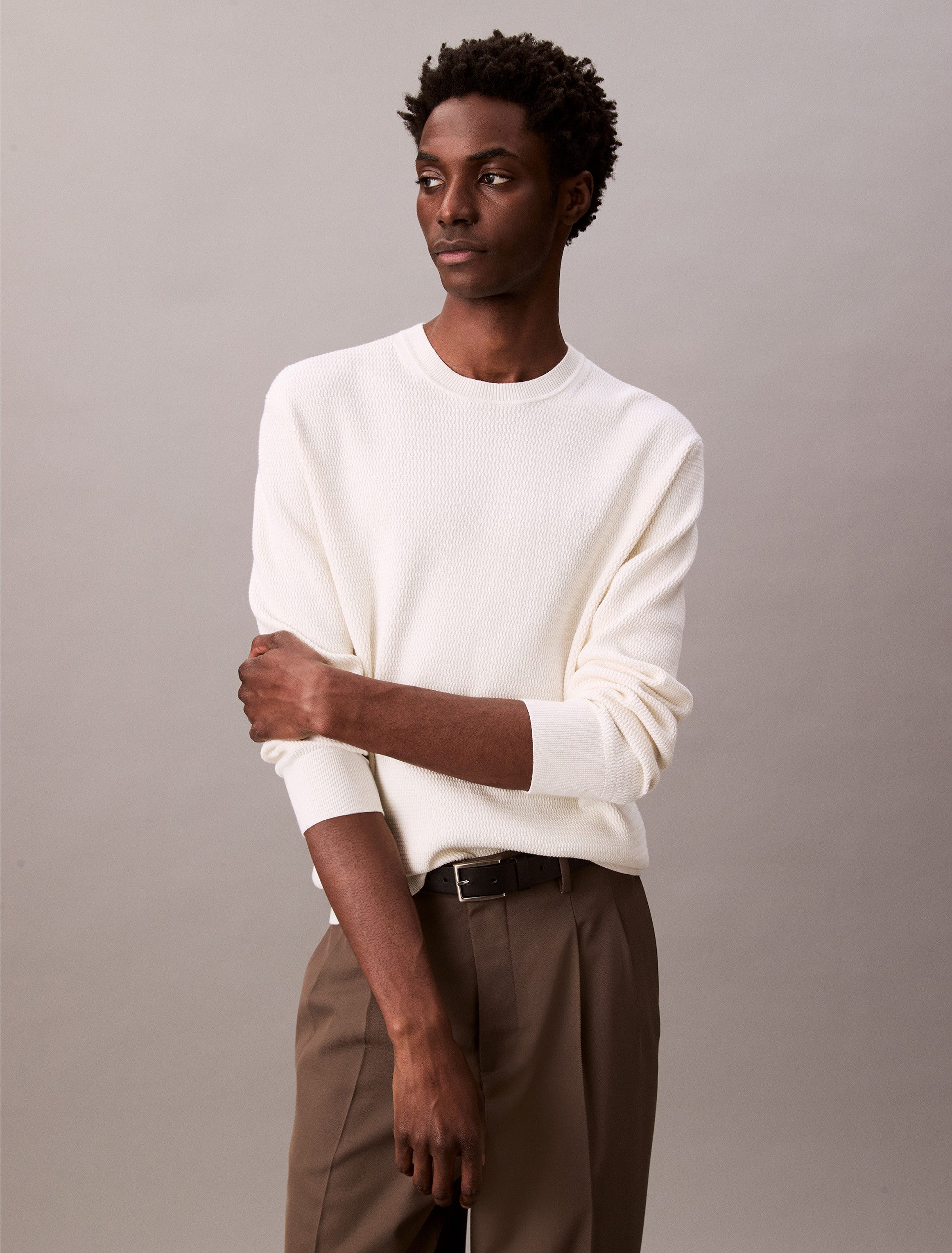 Calvin Klein Strickpullover LS TXTR CTTN günstig online kaufen