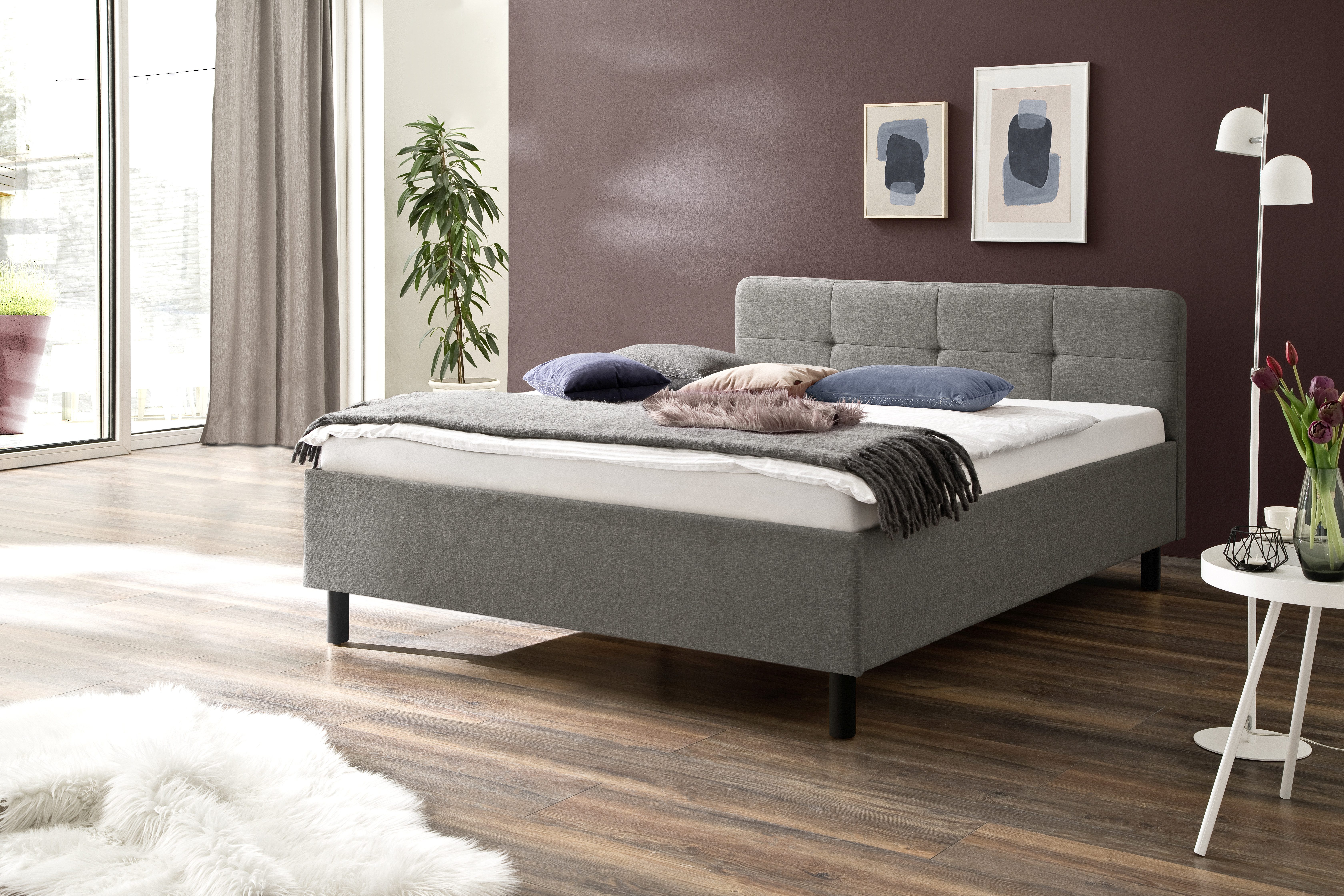 meise.möbel Bett Polsterbett AMADO