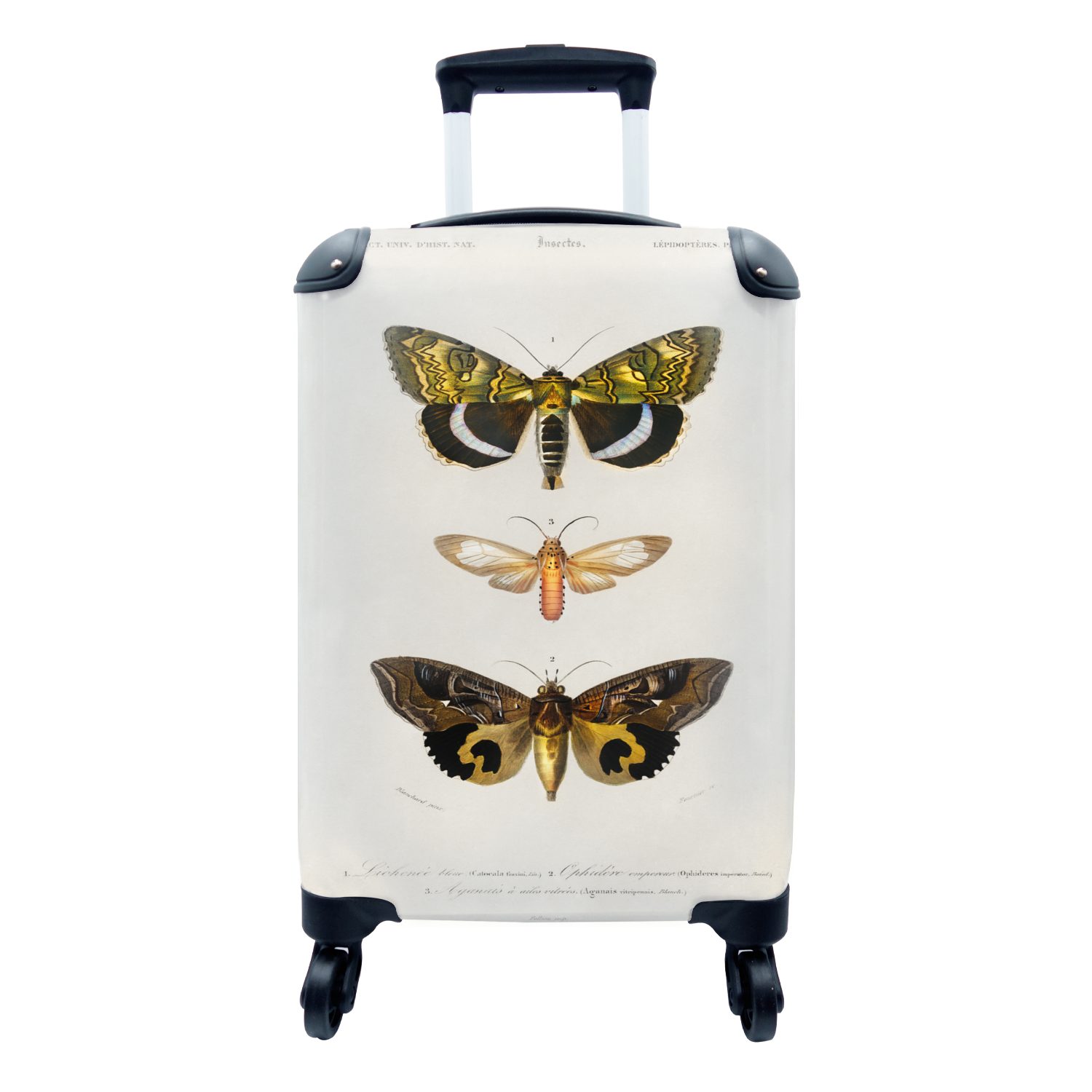 Schmetterling Insekten, - 4 für MuchoWow Vintage Ferien, Trolley, Reisekoffer - Rollen, Handgepäckkoffer Reisetasche Handgepäck rollen, mit