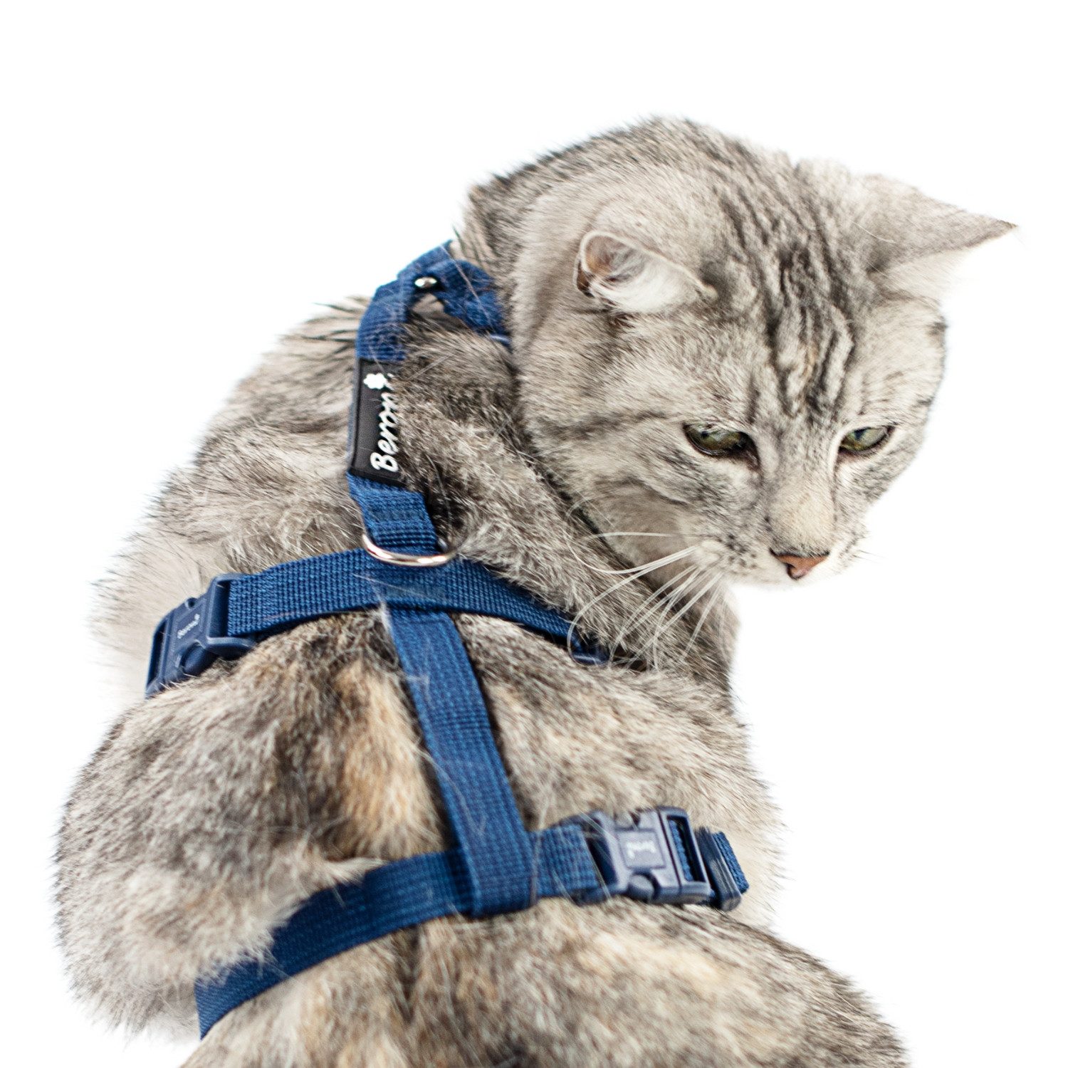 Beroni Sicherheitsgeschirr Katzengeschirr Safety Harness Classic ausbruchsi günstig online kaufen