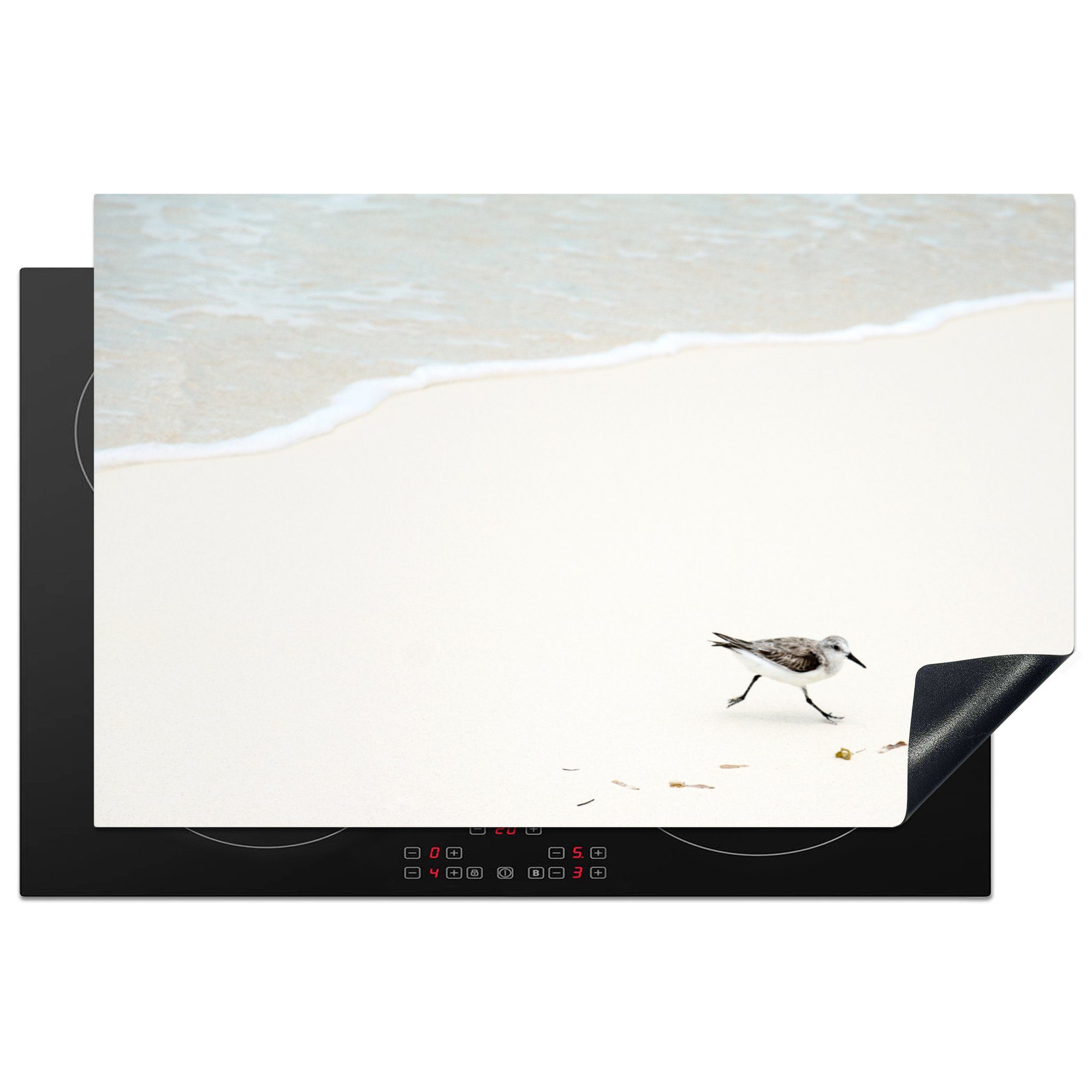 MuchoWow Herdblende-/Abdeckplatte Strand - Vögel - Meer, Vinyl, (1 tlg), 81x52 cm, Induktionskochfeld Schutz für die küche, Ceranfeldabdeckung