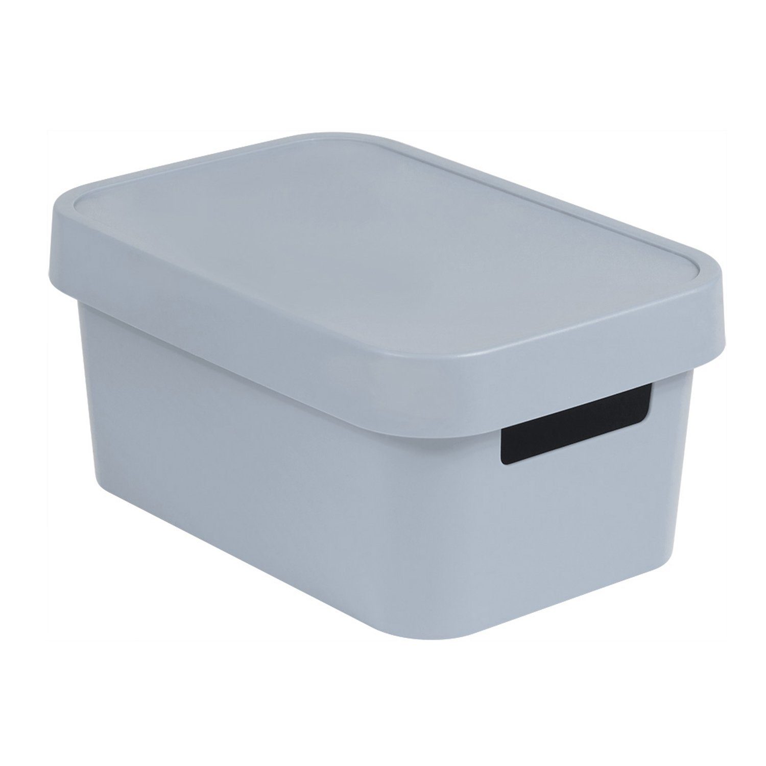 Curver Aufbewahrungsbox, Behälter mit Deckel Infinity günstig online kaufen