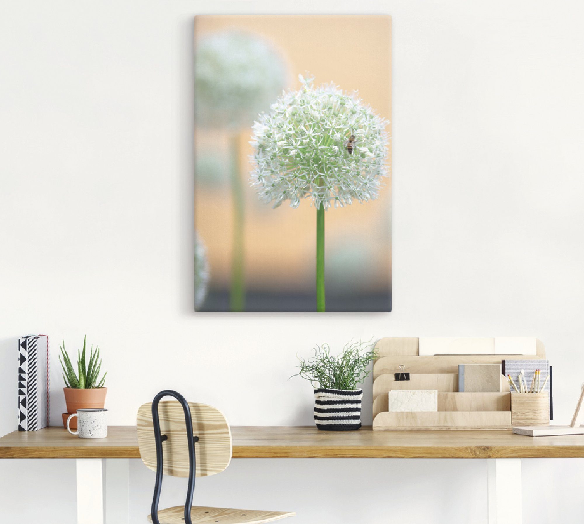 Artland Leinwandbild Großer Allium in Pastell, Blumen (1 St), auf Holzrahmen gespannt