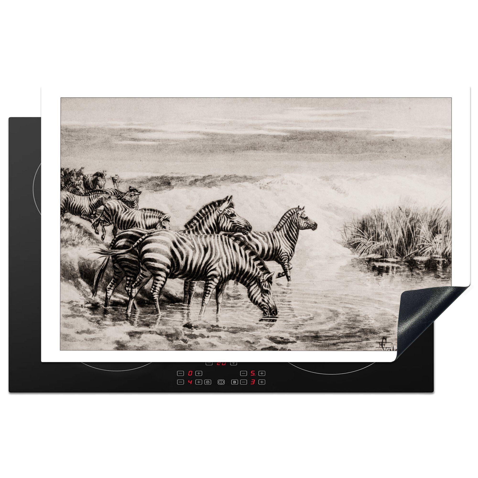 MuchoWow Herdblende-/Abdeckplatte Zebra - 81x52 Schutz Induktionskochfeld Wasser, - Vinyl, die (1 tlg), Illustration für Ceranfeldabdeckung cm, küche