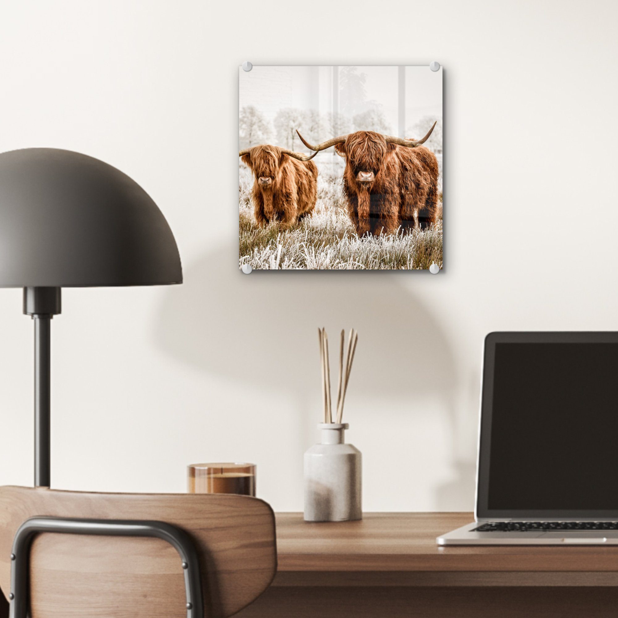 Schottischer bunt St), Acrylglasbild Kuh Foto Tiere, Wanddekoration Glas (1 Wandbild Bilder - auf - Glasbilder - Glas - - MuchoWow Highlander auf