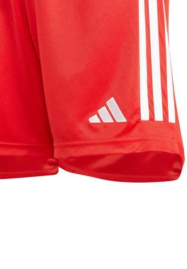 adidas Originals Shorts FC Bayern (1-tlg)