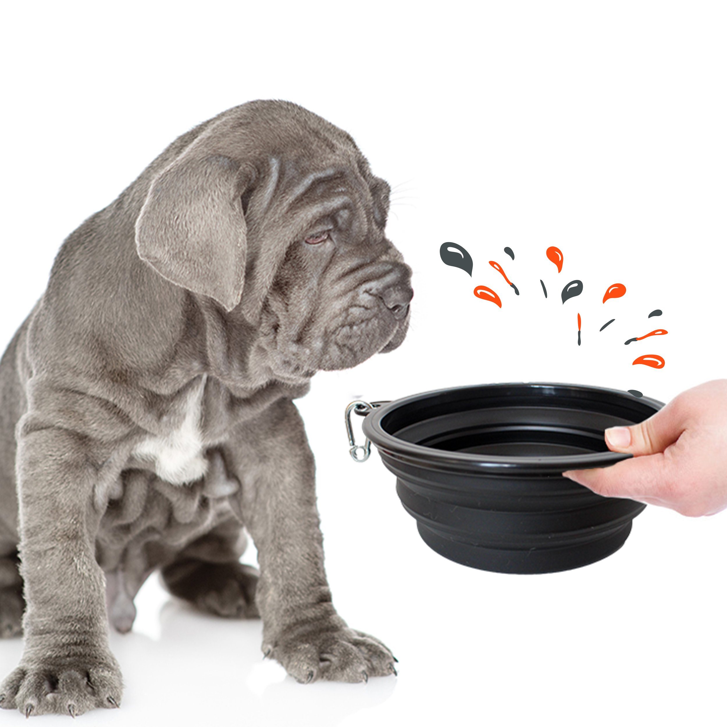 Petsation Reisenapf Hundenapf faltbar für unterwegs - Reisenapf Hund ideal für den Alltag