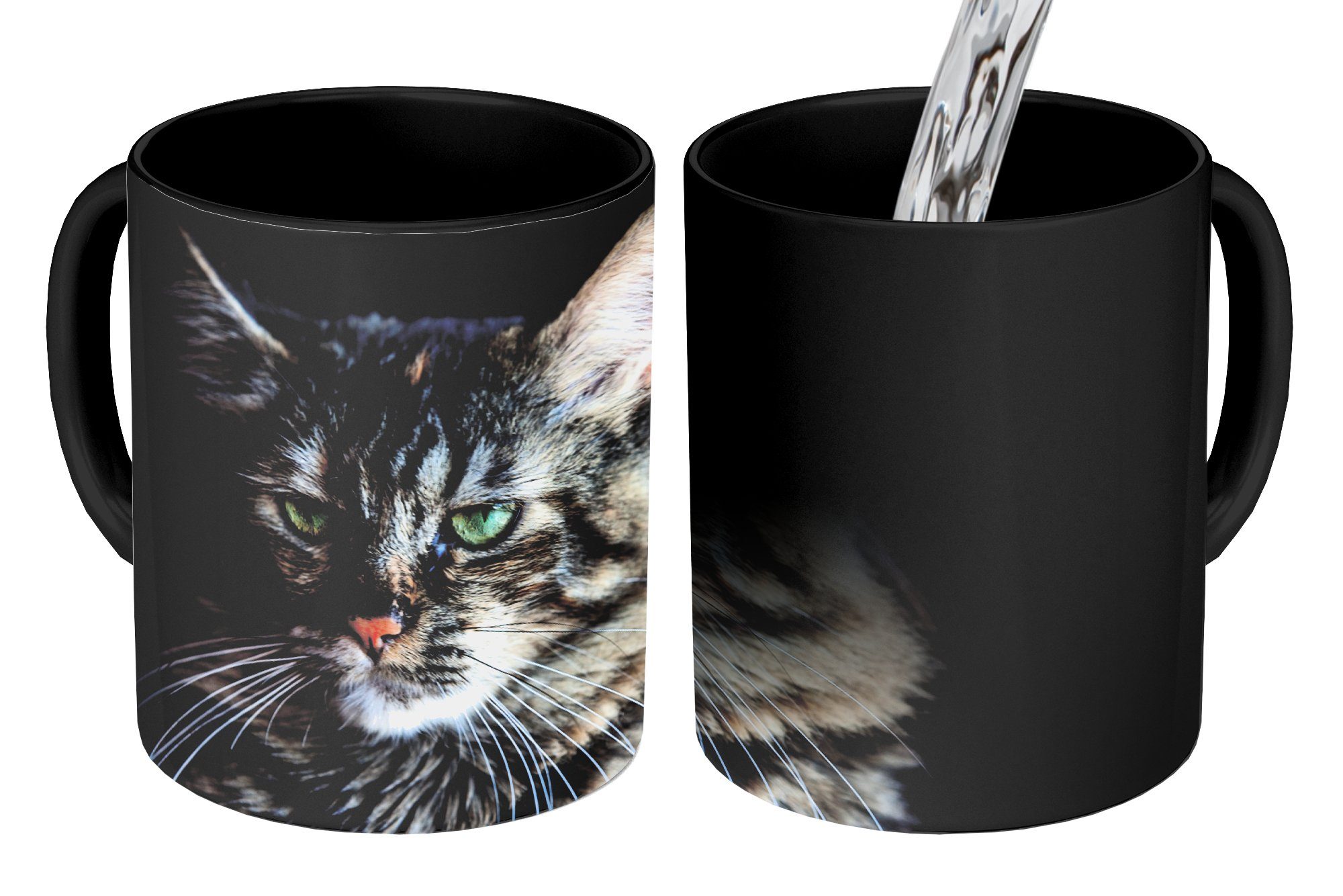 MuchoWow Tasse Maine Coon Katze mit schwarzem Hintergrund, Keramik, Farbwechsel, Kaffeetassen, Teetasse, Zaubertasse, Geschenk