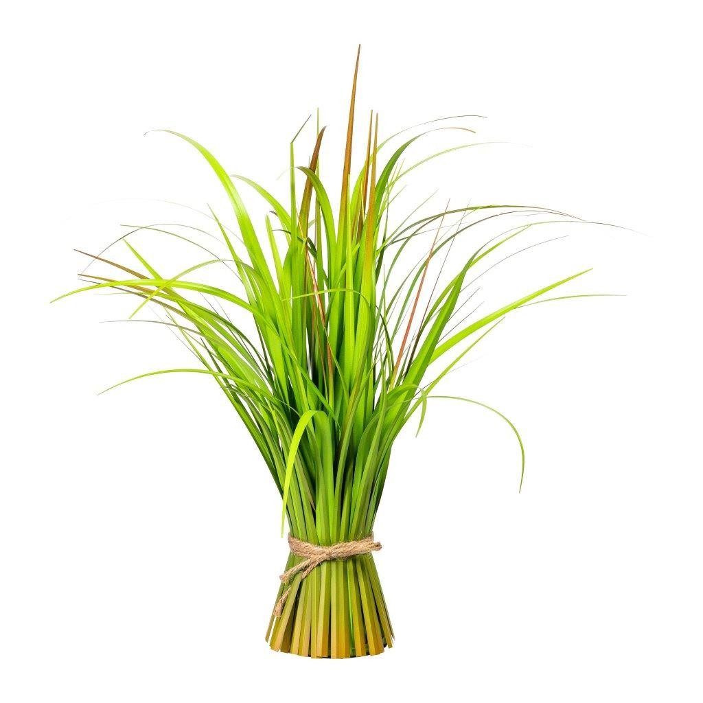 Kunstgras Kunstpflanze MISCANTHUS Grasbund, Grasbusch ca 55cm. Stehgras-Bündel., Gasper