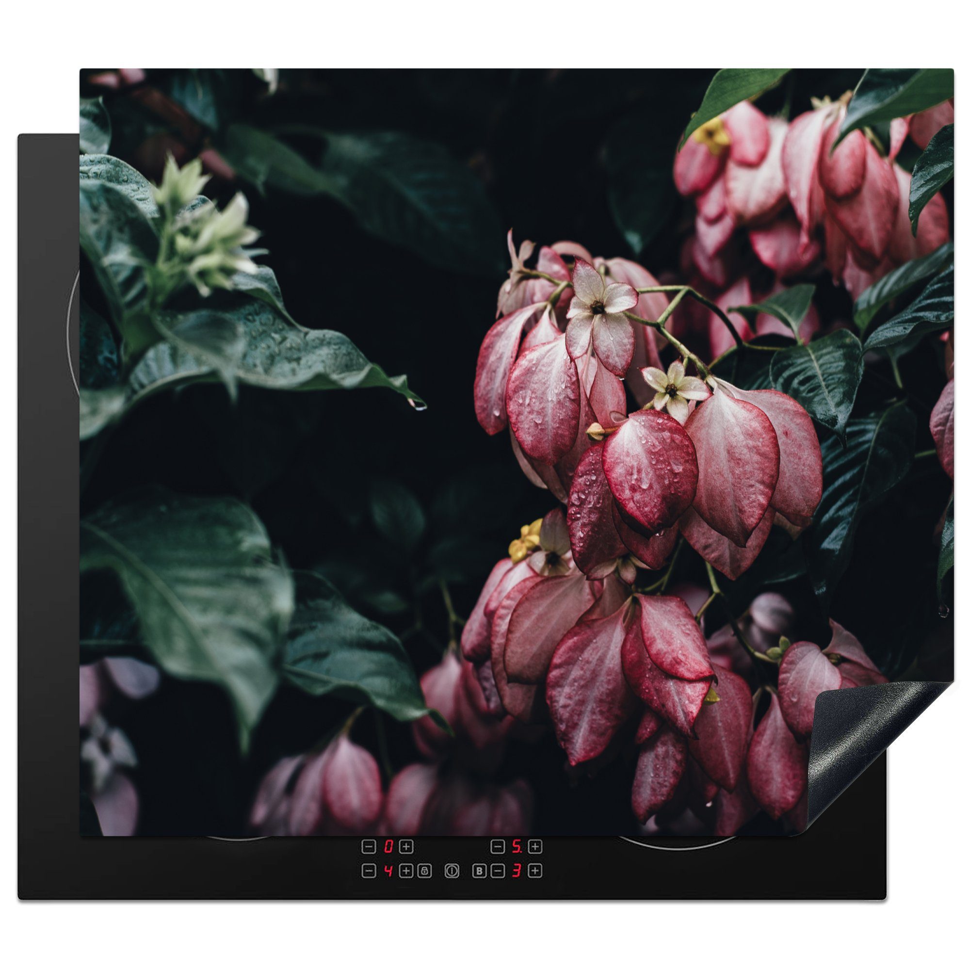 MuchoWow Herdblende-/Abdeckplatte Blumen - Wasser - Rosa, Vinyl, (1 tlg), 60x52 cm, Mobile Arbeitsfläche nutzbar, Ceranfeldabdeckung