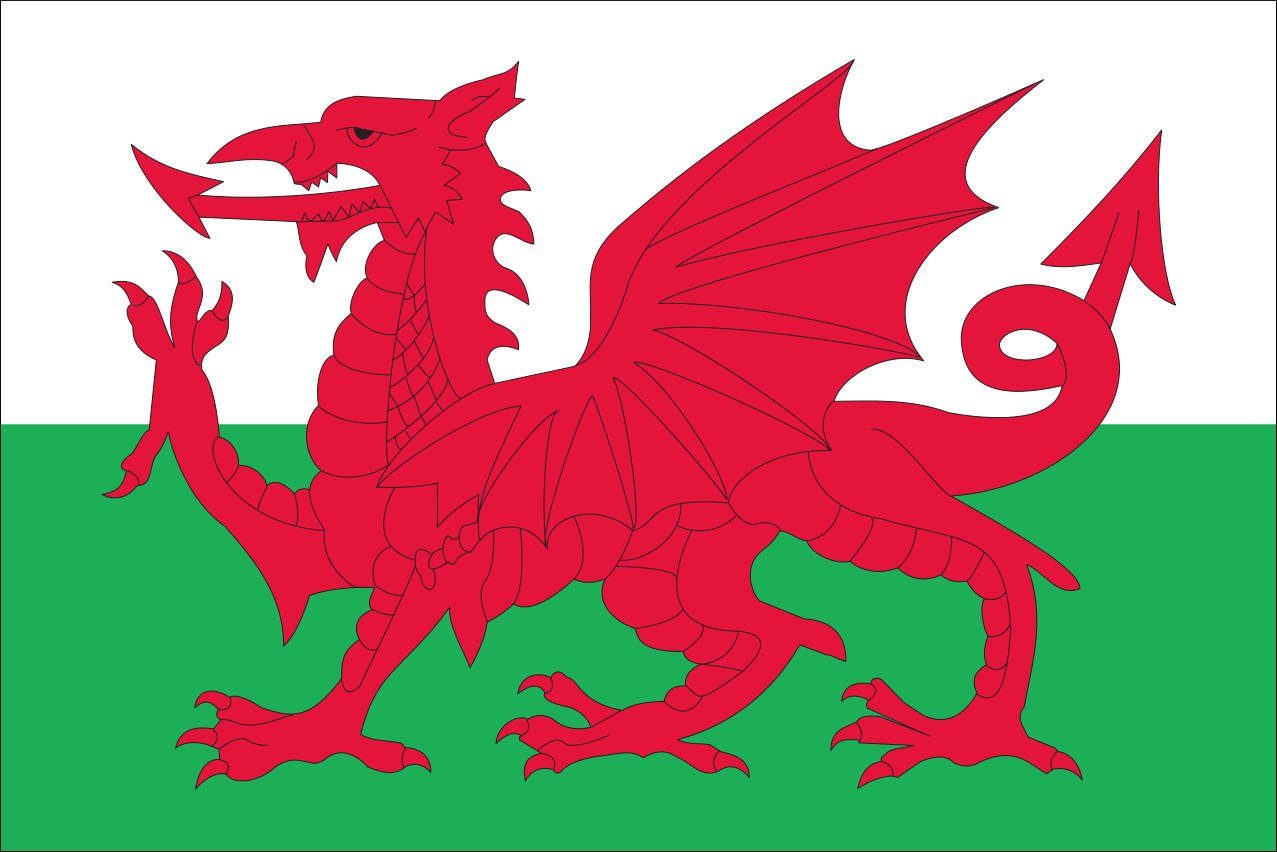 g/m² Wales Flagge Flagge Querformat flaggenmeer 110