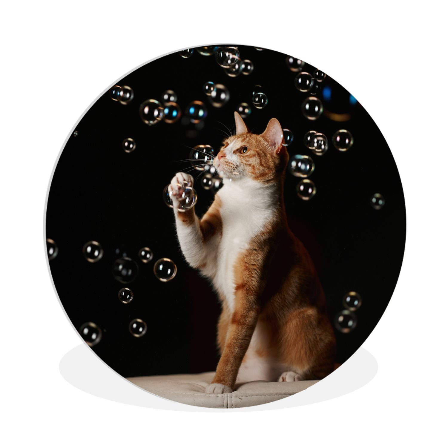 Katze Gemälde Blasen, St), Kreis MuchoWow cm mit 30x30 Rundes Forex, Wandbild, Wohnzimmer, (1 Wanddekoration Rote