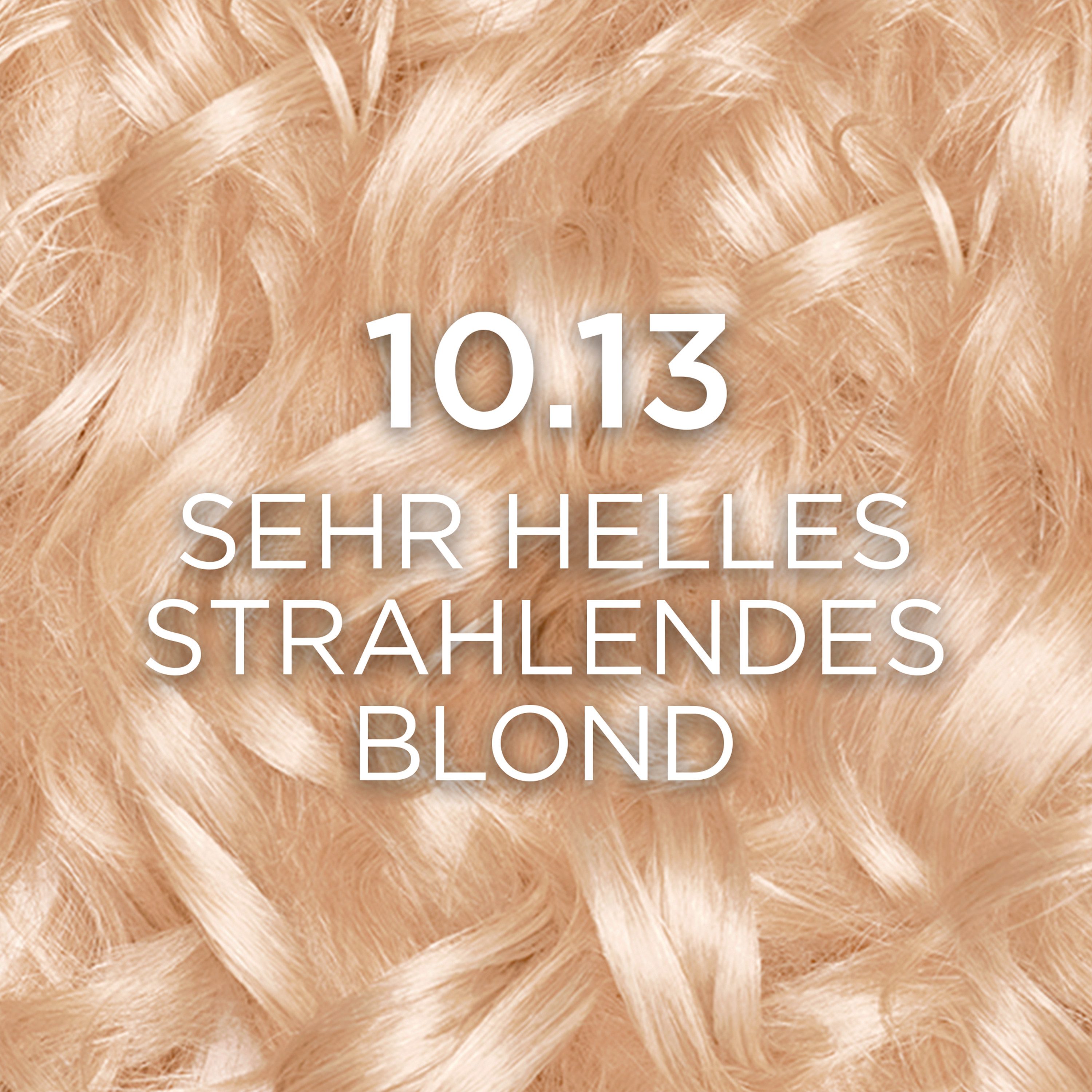 L'ORÉAL PARIS Coloration EXCELL AP NUDES 9.31 GOLD BLD GER, für graues Haar, mit hydrolysiertem Weizenprotein, große Menge 192 ml