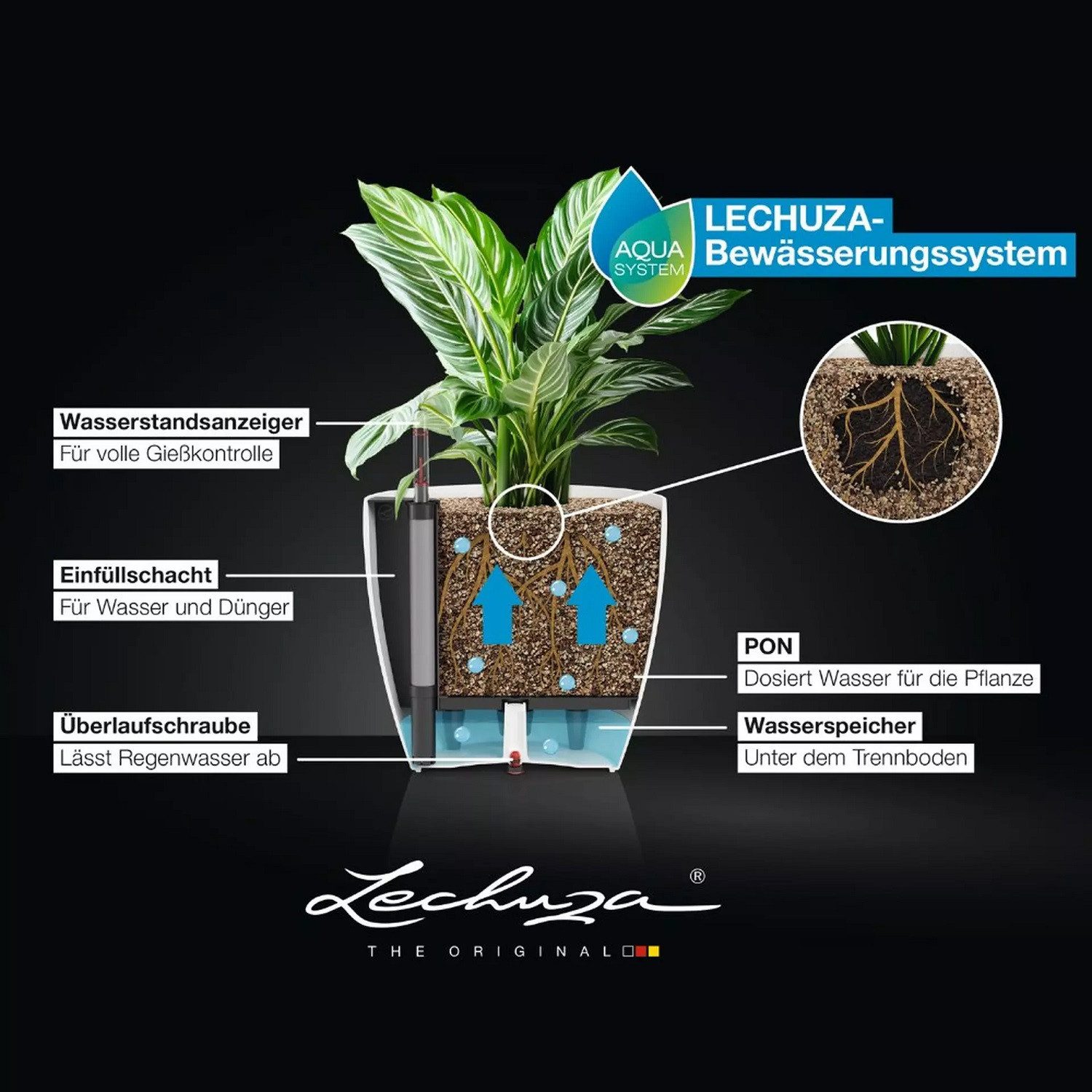 Lechuza® Pflanzkübel Classico Color 50, dunkelgrau