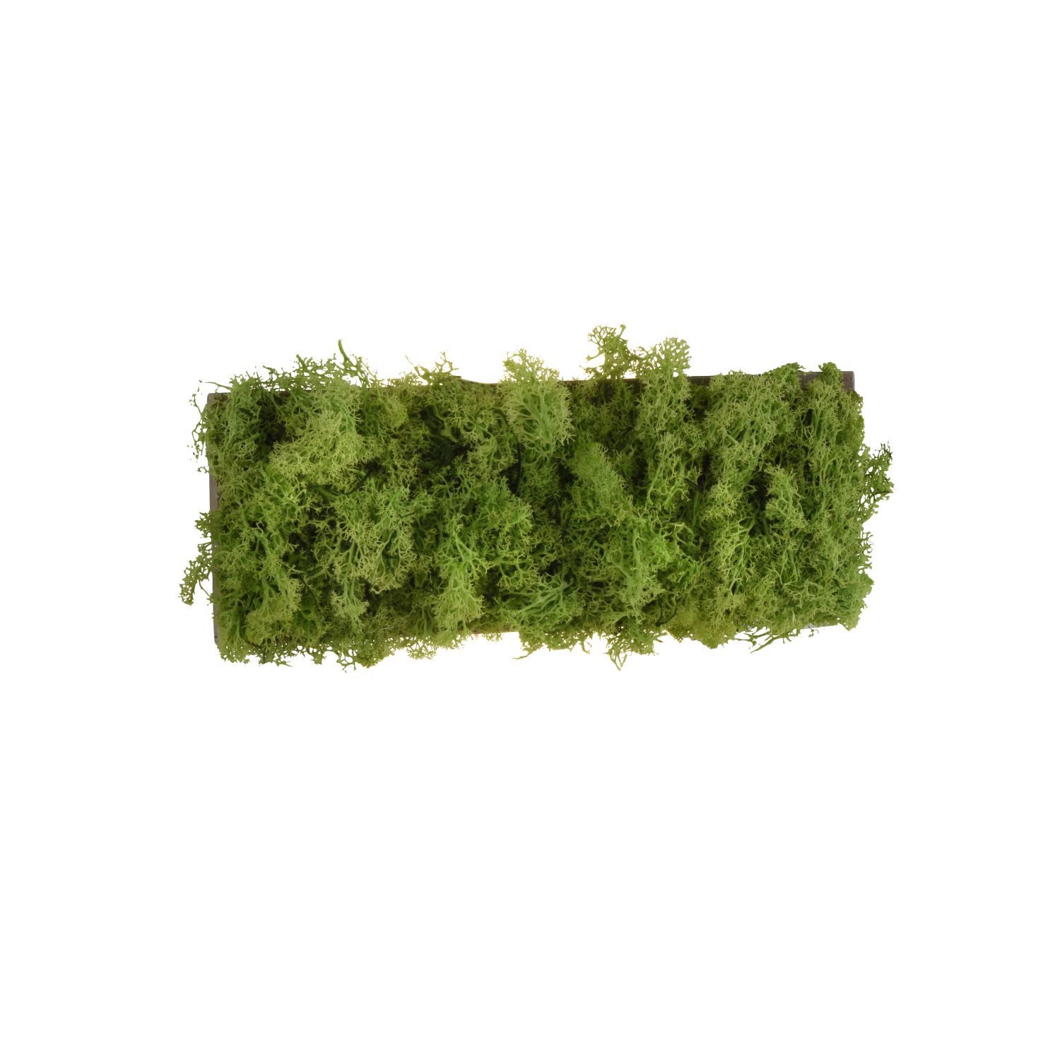 Licht-Erlebnisse Wandleuchte JASTIN, LED fest integriert, Warmweiß, LED Up Down 32 cm breit Moos eckig warmweißes Licht 3000 K 130 lm