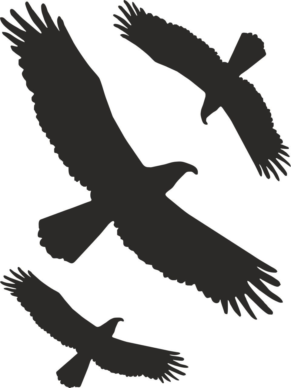 Hermann Schütz Aufkleber Hermann Schütz Aufkleber Kontur Vogel-Sortiment