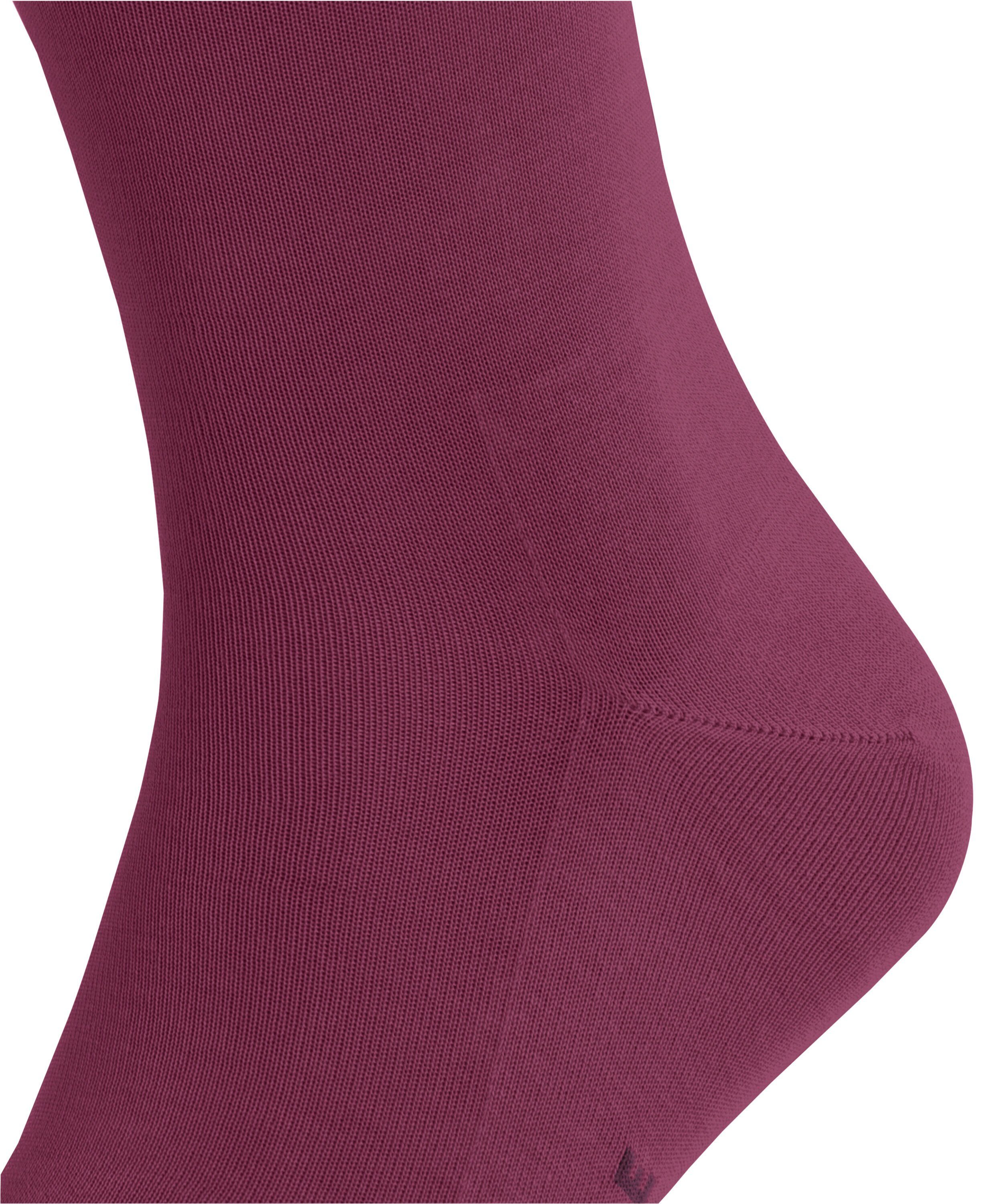 FALKE Socken Tiago red plum (1-Paar) (8236)