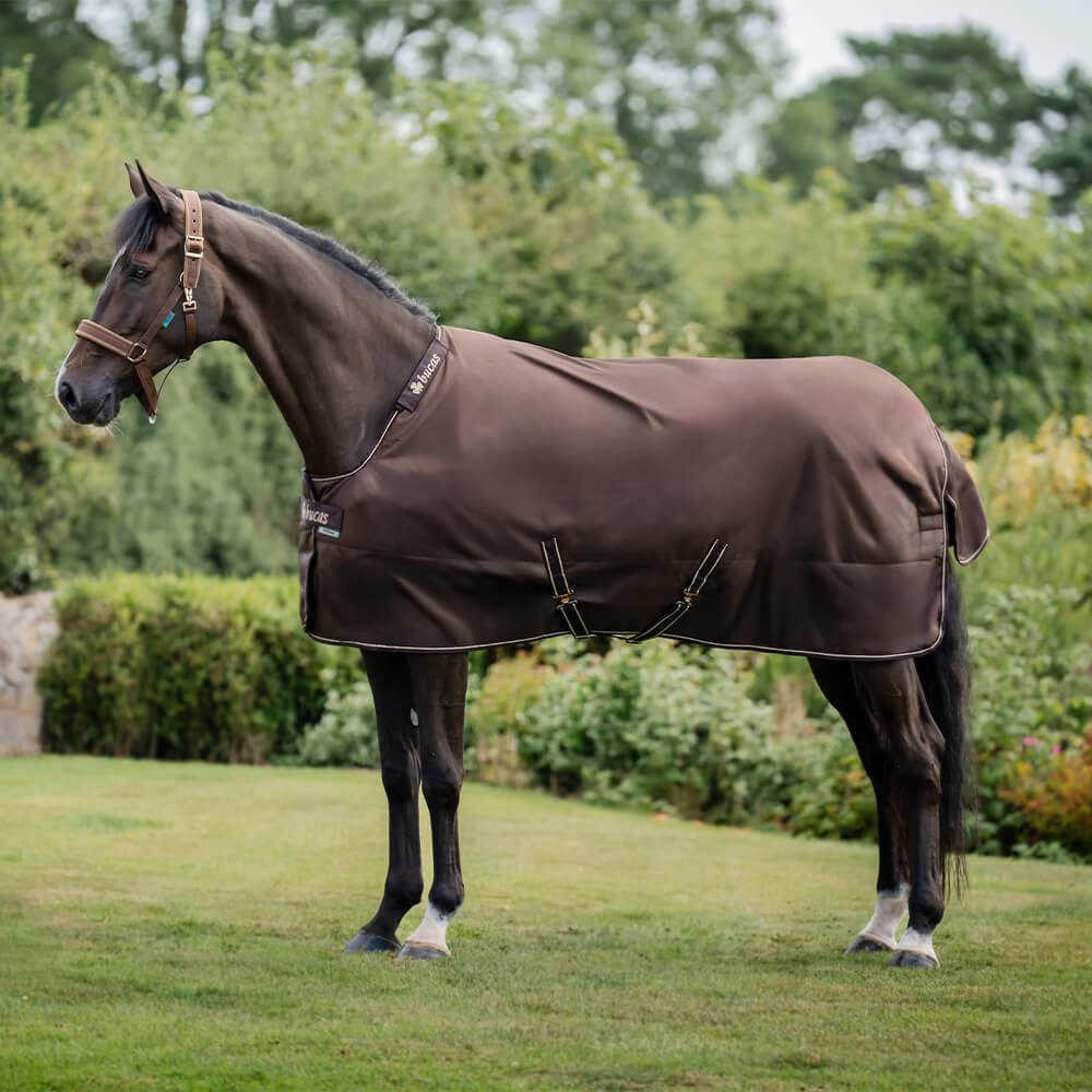 Bucas Pferde-Thermodecke Bucas Irish Turnout Medium 150g + Neck Set