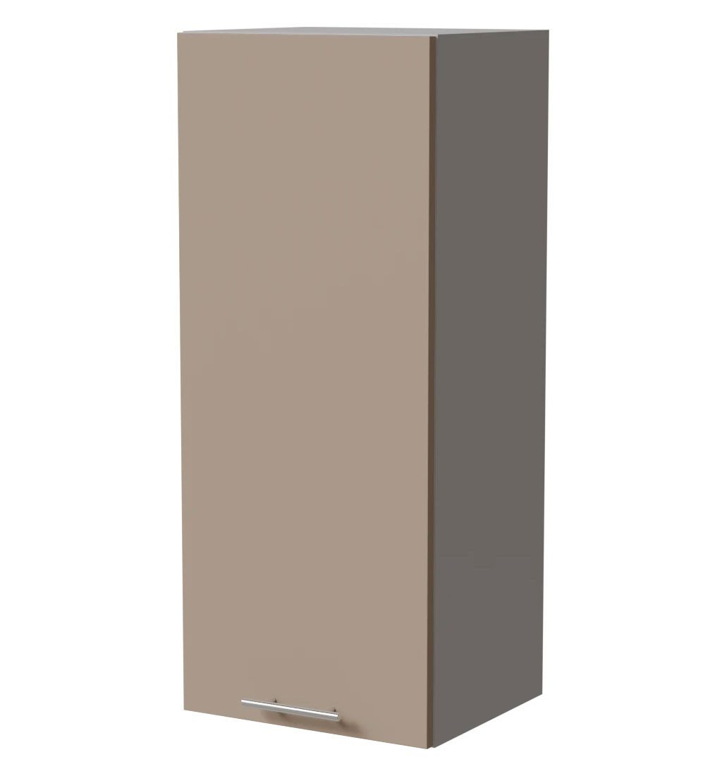 Feldmann-Wohnen Klapphängeschrank Brerra (W4/40, 1-türig, 3 Einlegeböden, 1-St., moderne Optik, lackierte Fronten, 40x32,5x96cm) grau / RAL 1019 graubeige Matt