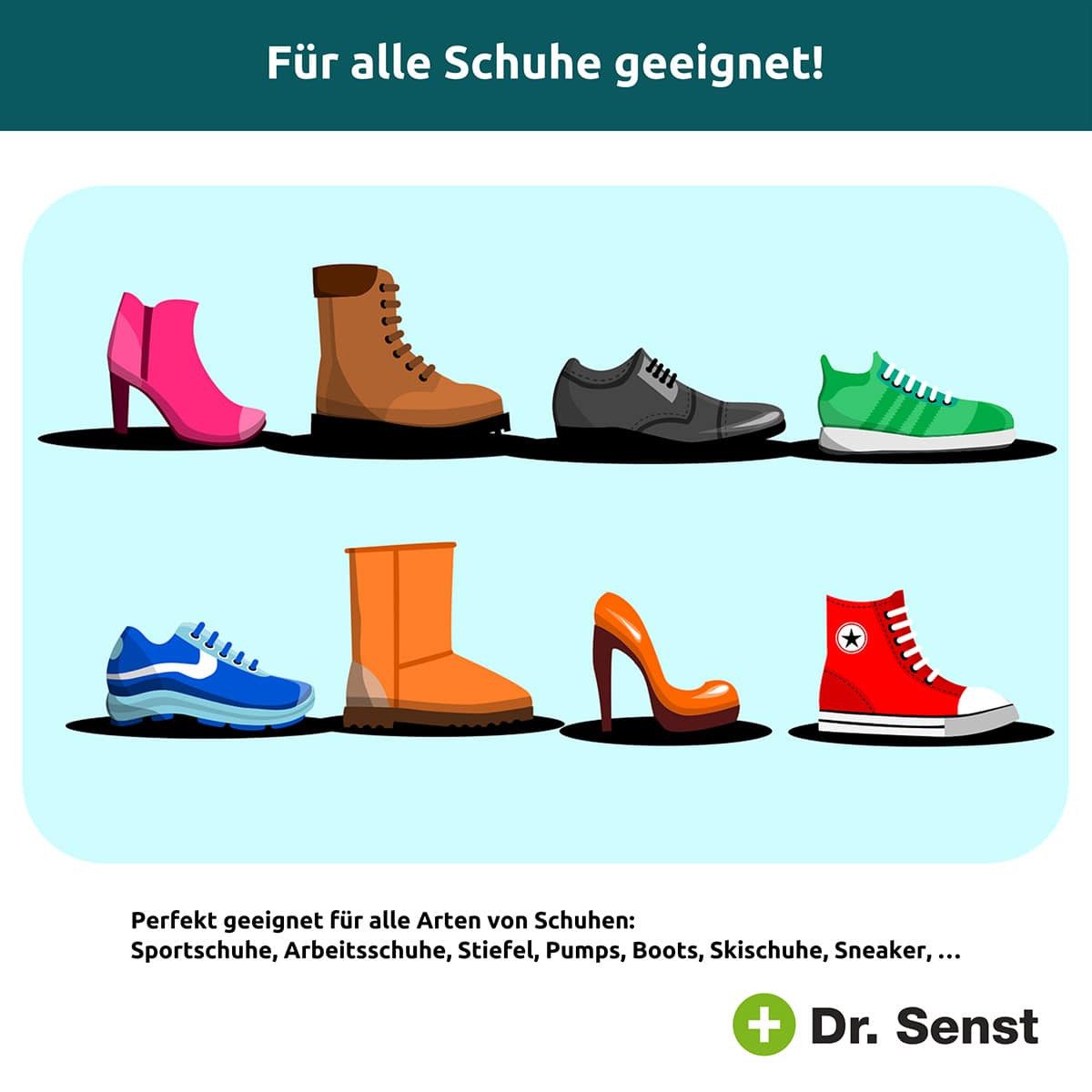 Dr. Senst Dr. Senst® Langzeit Schuh Desinfektion Spray 100 ml Schuh-Pflegeschaum
