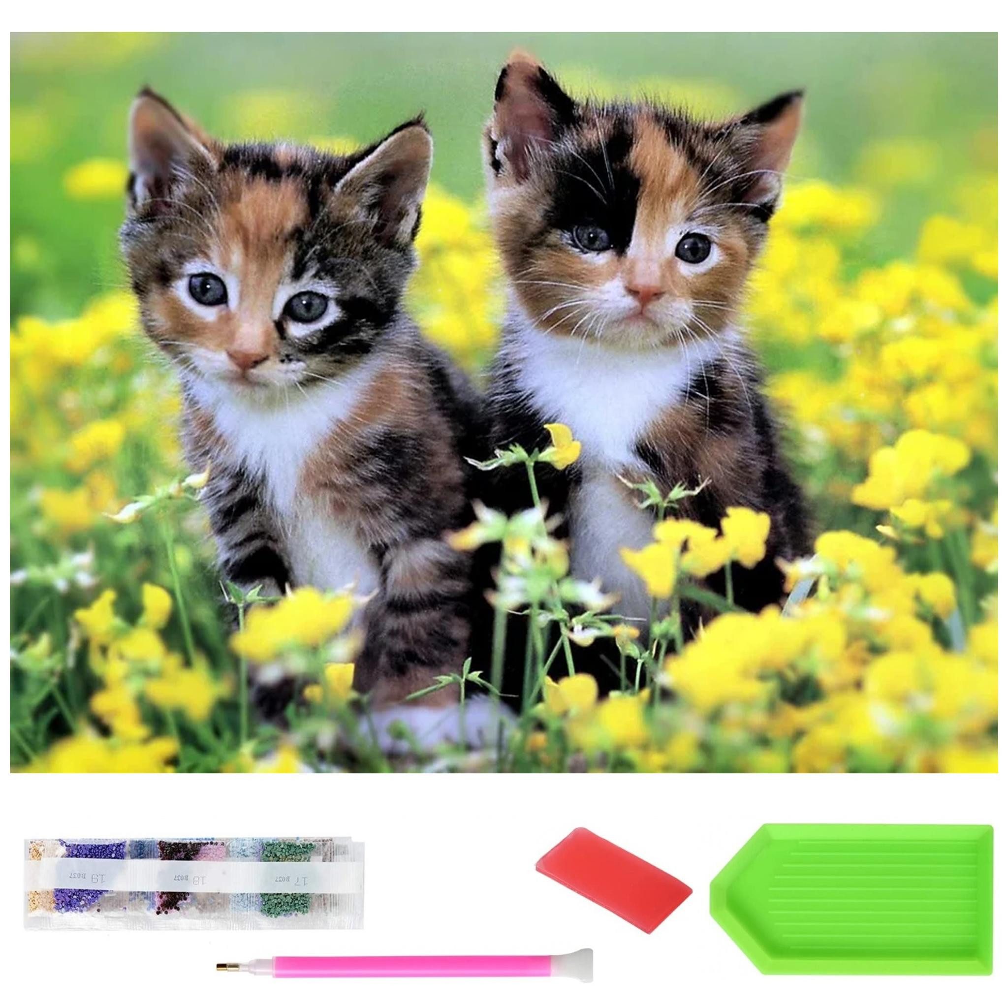 LA CUTE Malen nach Zahlen XXXL 5d Diamond Painting Baby Katze Malen nach Za günstig online kaufen