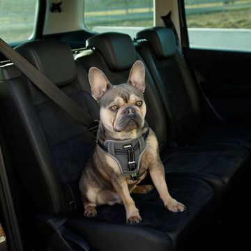 Kerbl Hunde-Halsband Auto-Sicherheitsgeschirr 68-85 cm Schwarz, Nylon
