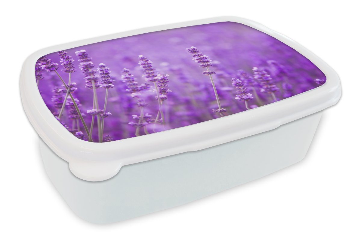 MuchoWow Lunchbox Lavendel - Nahaufnahme - Blumen - Lila, Kunststoff, (2-tlg), Brotbox für Kinder und Erwachsene, Brotdose, für Jungs und Mädchen weiß