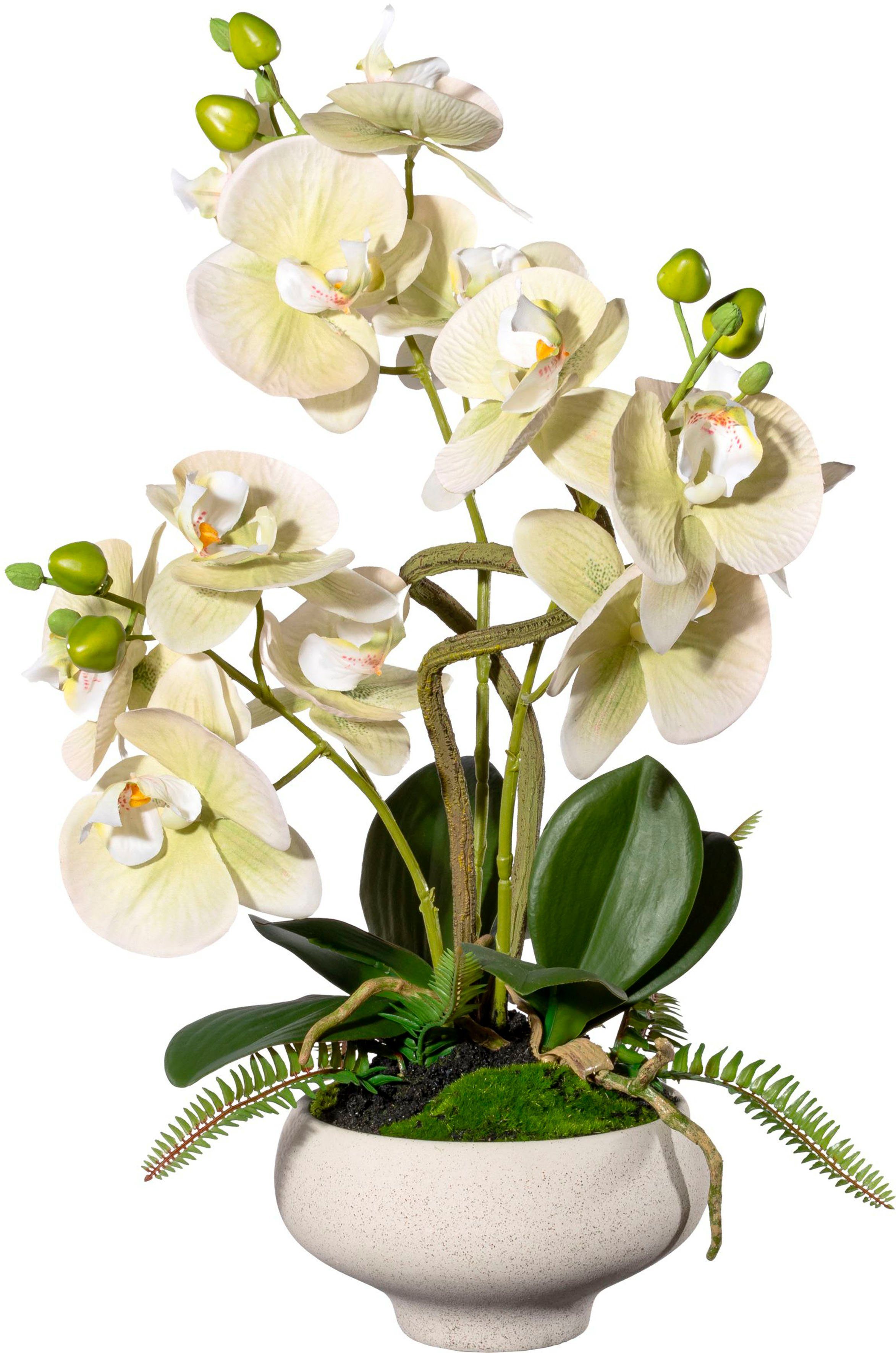 Kunstorchidee Orchidee Phalaenopsis im Keramiktopf, Creativ green, Höhe 50 cm