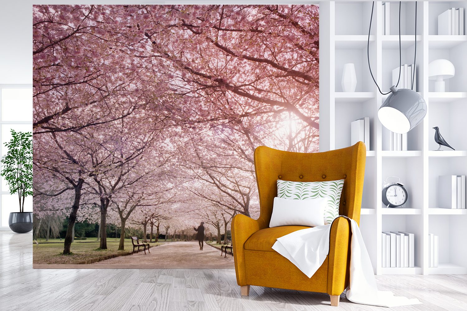 Fototapete Wandtapete für einem Tag, an St), Tapete klaren Sakura-Bäume bedruckt, (5 Matt, MuchoWow Montagefertig Vinyl Wohnzimmer,