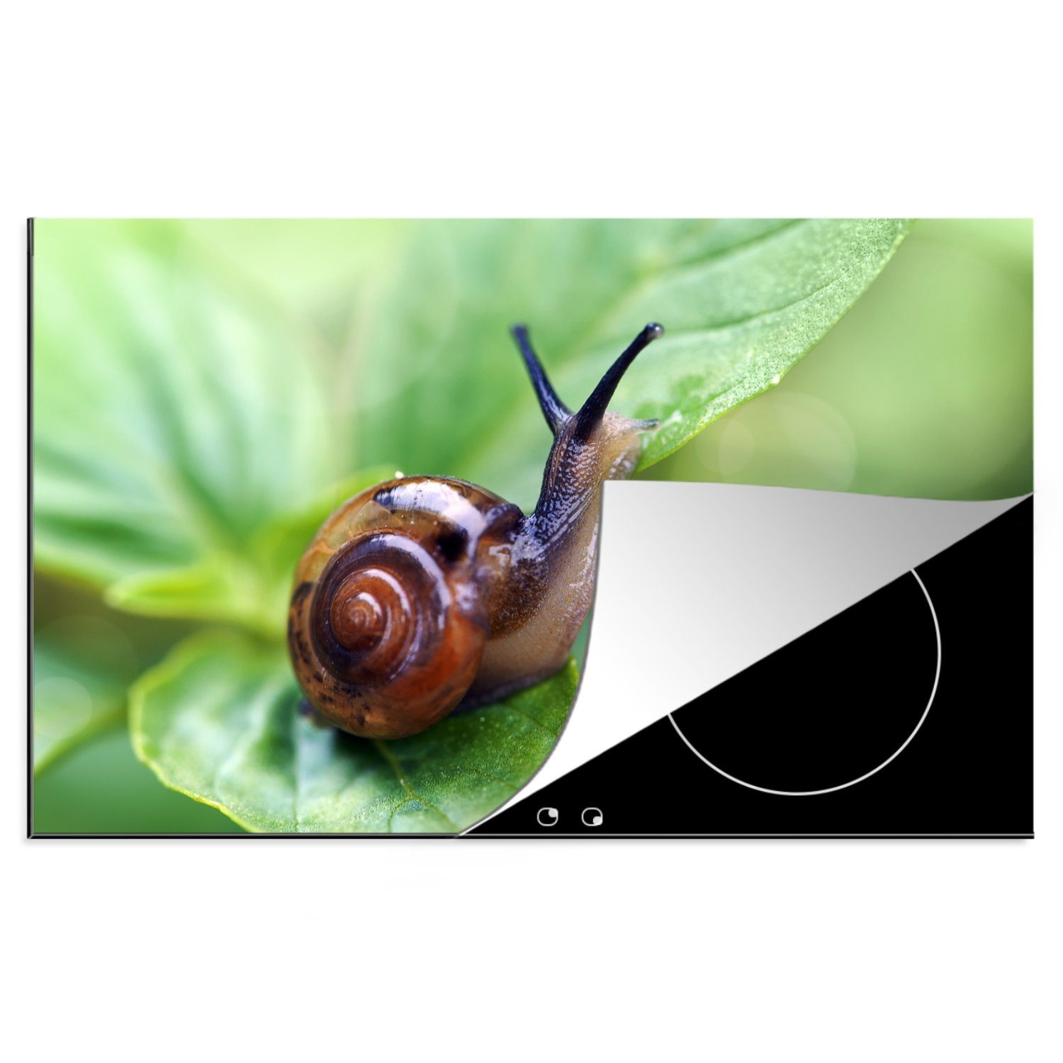 MuchoWow Herdblende-/Abdeckplatte Schnecke auf Blatt, Vinyl, (1 tlg), 81x52 cm, Induktionskochfeld Schutz für die küche, Ceranfeldabdeckung