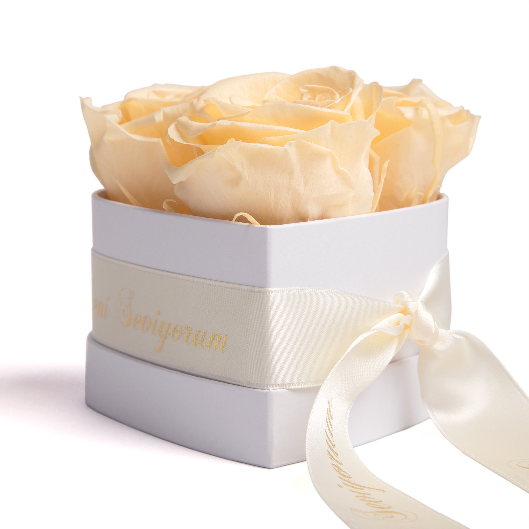 Kunstblume Seni Seviyorum Infinity Rosenbox Herz günstig online kaufen