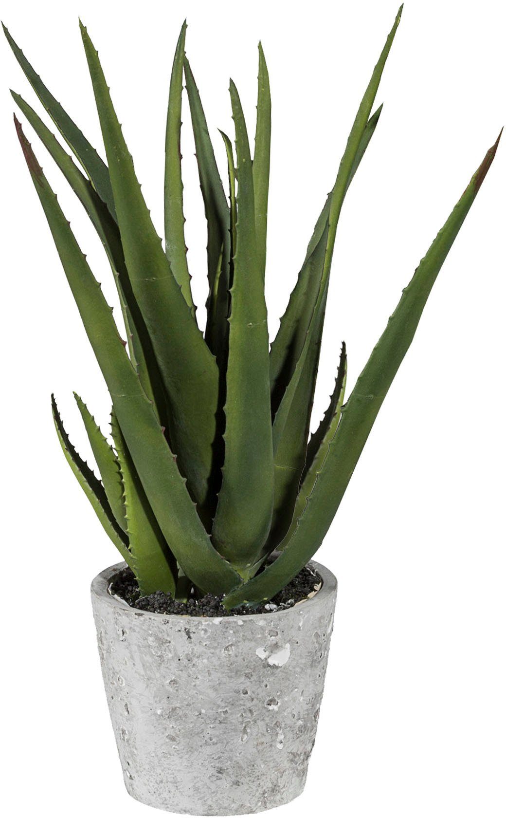 Künstliche Zimmerpflanze Aloe im Zementtopf Sukkulente, Creativ green, Höhe  40 cm | Kunstpflanzen