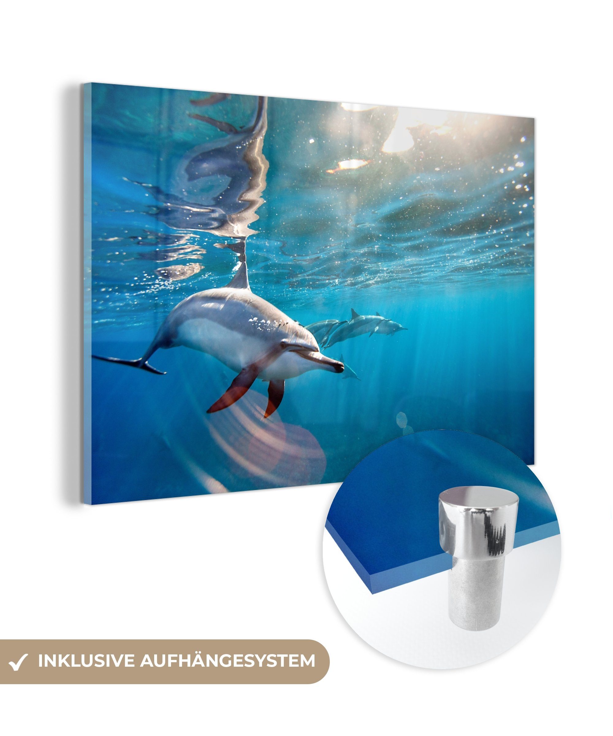 Acrylglasbild (1 Sonne & Wohnzimmer Wasser, Delphin St), - Schlafzimmer MuchoWow Acrylglasbilder -