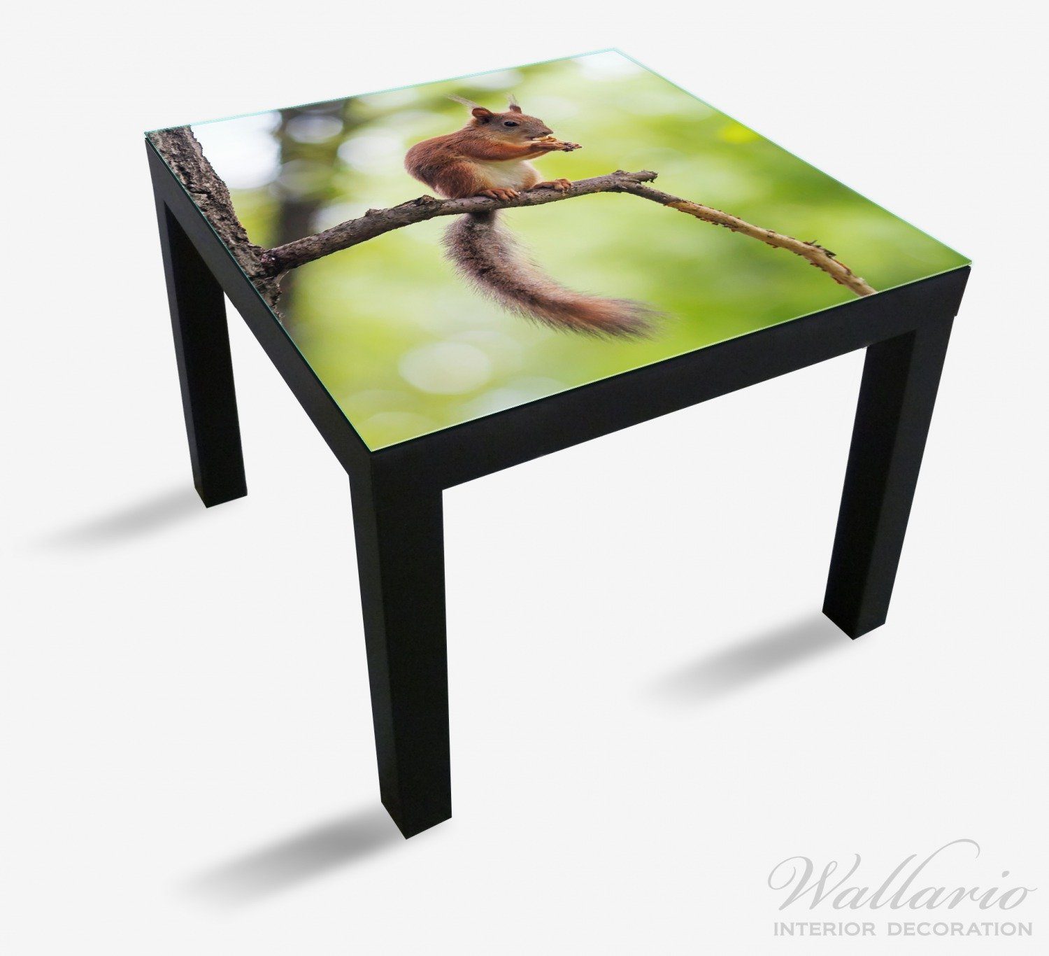 für Ast Ikea St), Tischplatte Eichhörnchen einem geeignet (1 auf Lack Tisch Wallario