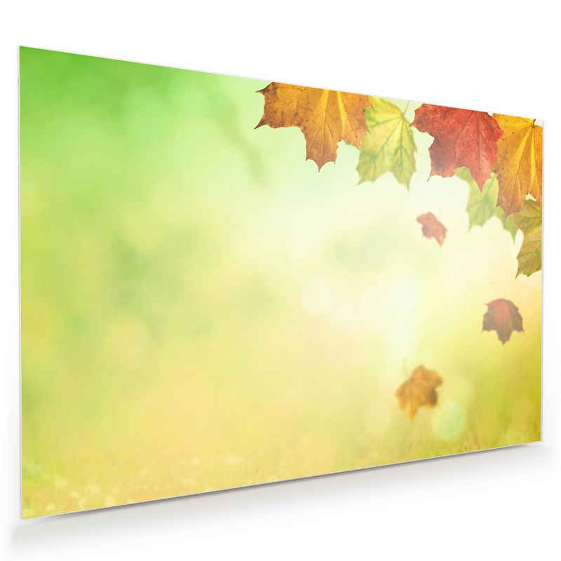 Primedeco Glasbild Wandbild Blätter im Sonnenlicht mit Aufhängung, Natur