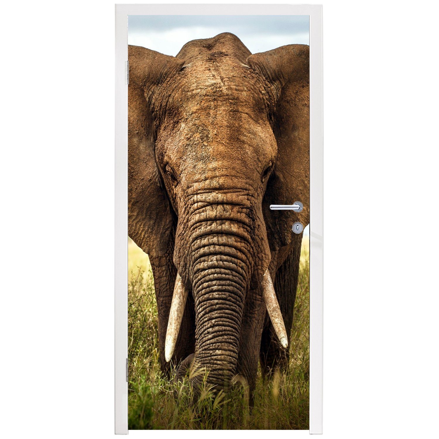 MuchoWow Matt, - bedruckt, St), Tiere 75x205 Fototapete für Tür, Natur, - Türtapete Elefant Gras - (1 cm Türaufkleber,