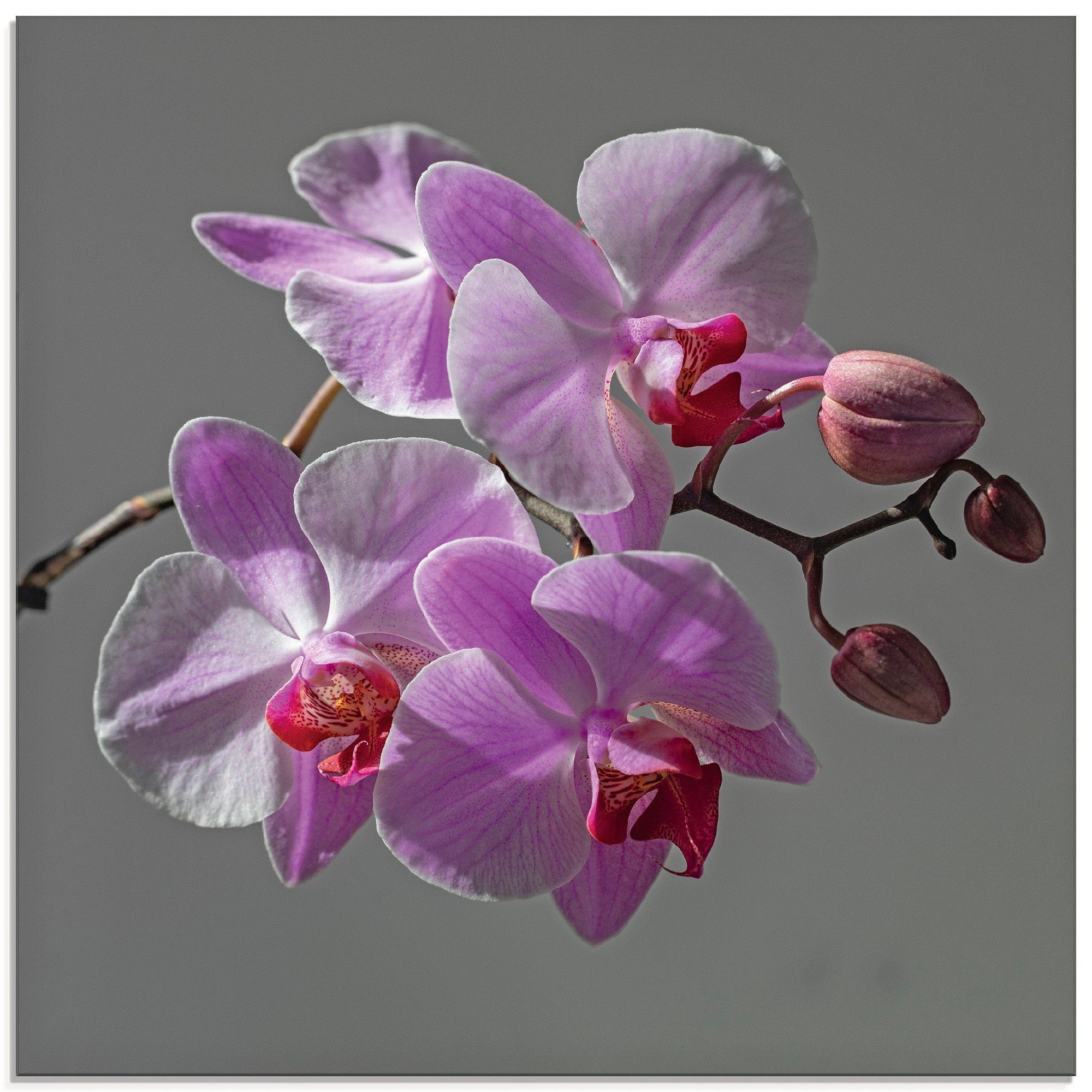 Artland Glasbild Orchideentraum, Blumen Größen verschiedenen (1 in St)