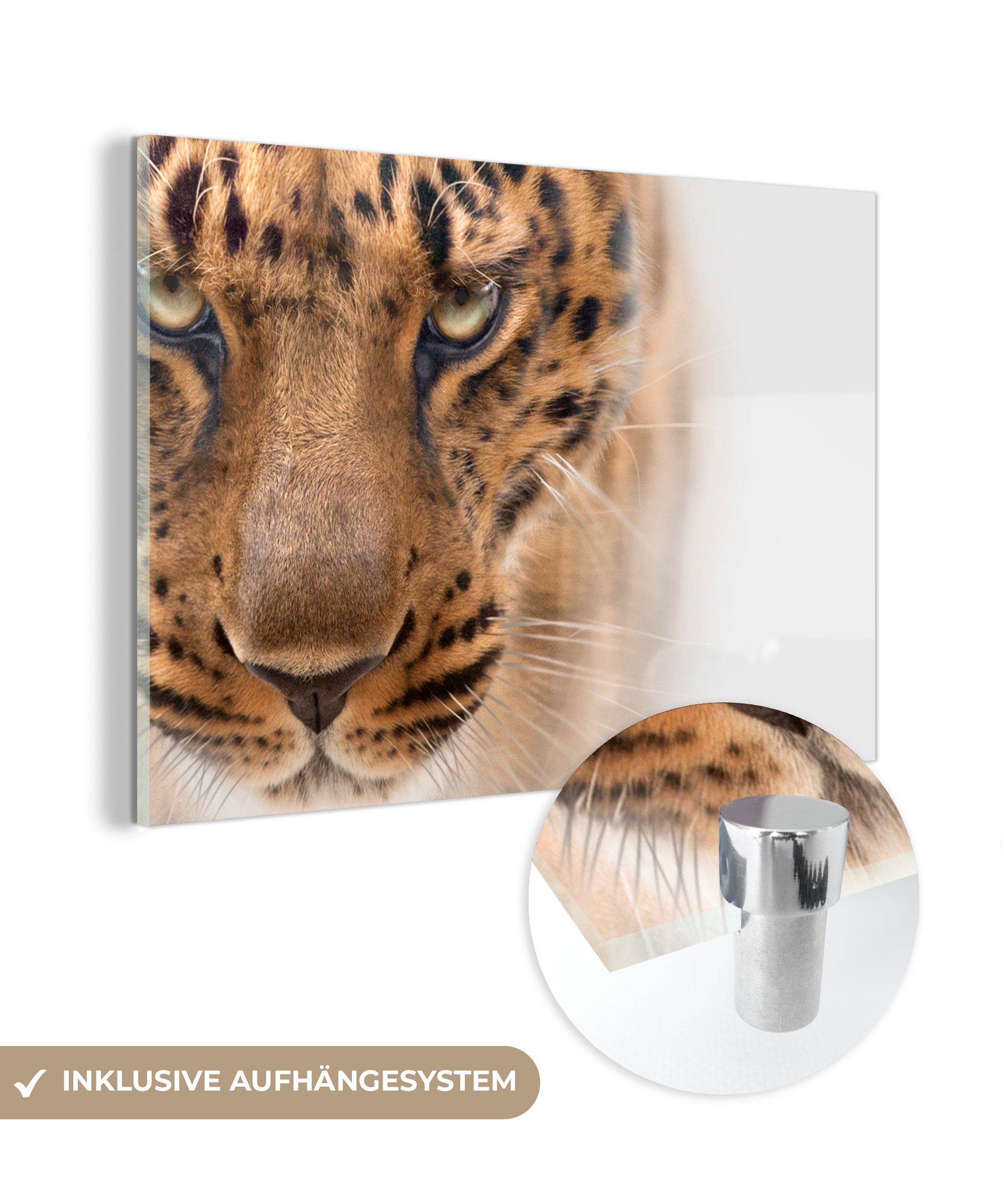 - - Acrylglasbild Pelz MuchoWow - St), - Leopard Wandbild Glas Bilder auf Weiß, Wanddekoration - auf Foto Glas (1 Glasbilder