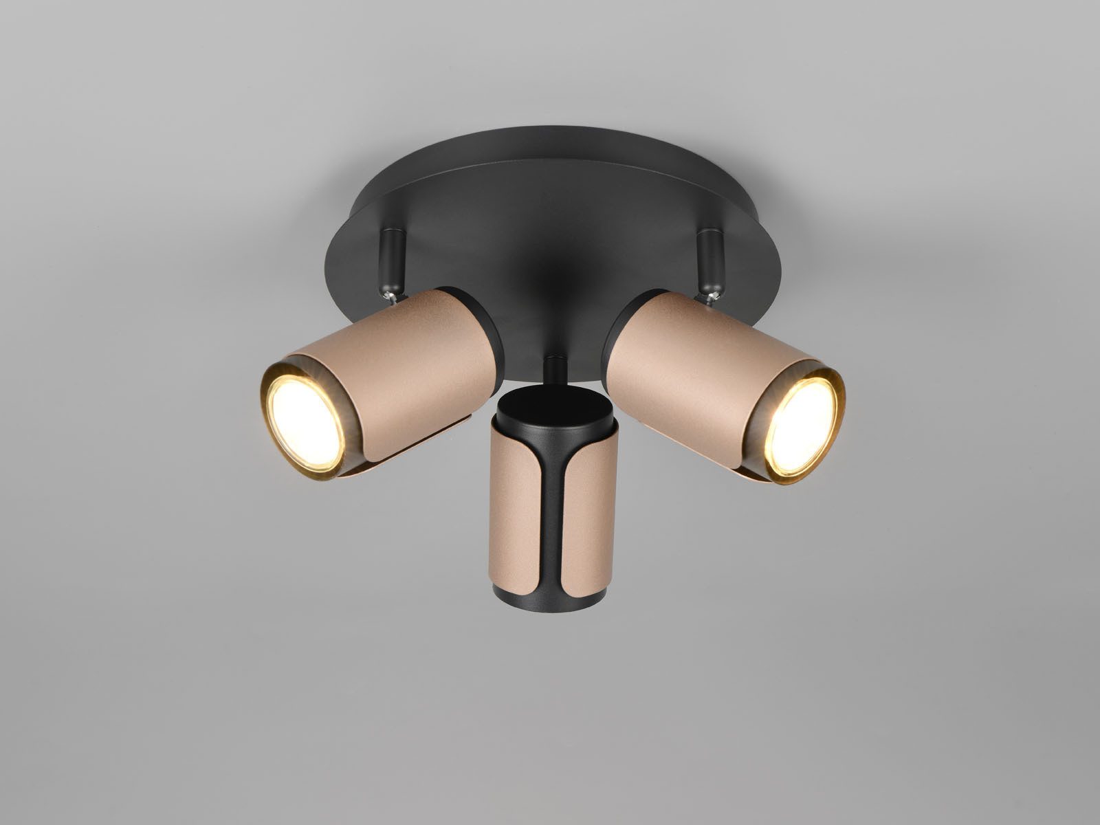 TRIO Leuchten LED Deckenspot, LED wechselbar, günstig online kaufen