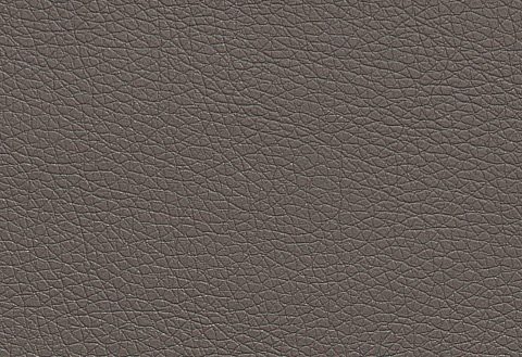 Home affaire Sessel Saltare elegant und komfortabel, toller Designfuß, Breite 112cm – Bild 5 von 5