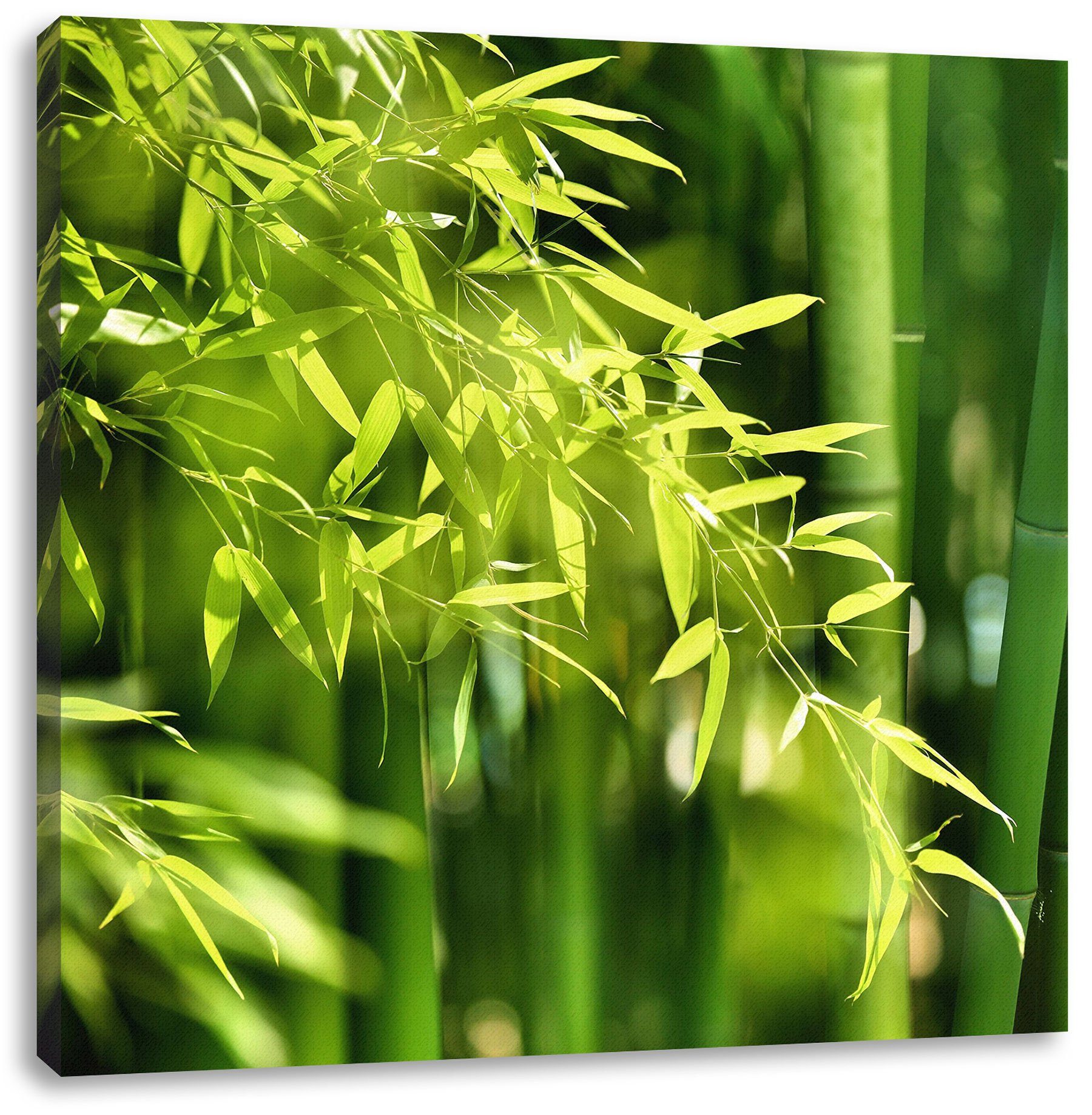 Pixxprint Leinwandbild Blättern, bespannt, St), mit (1 mit inkl. Zackenaufhänger Bambus fertig Leinwandbild Blättern Bambus