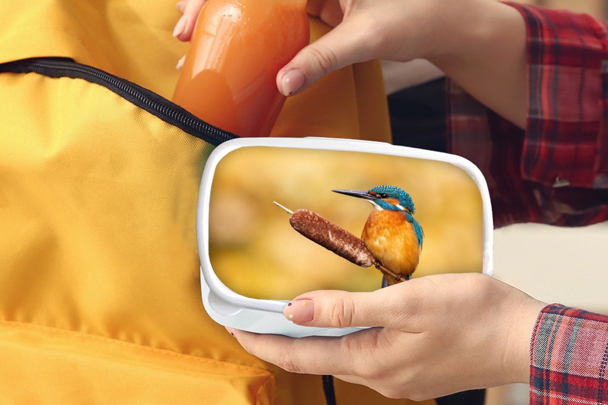 MuchoWow Lunchbox Eisvogel - weiß Mädchen Brotbox Jungs Vogel, - Natur Erwachsene, (2-tlg), Kinder Kunststoff, und und für Brotdose, für