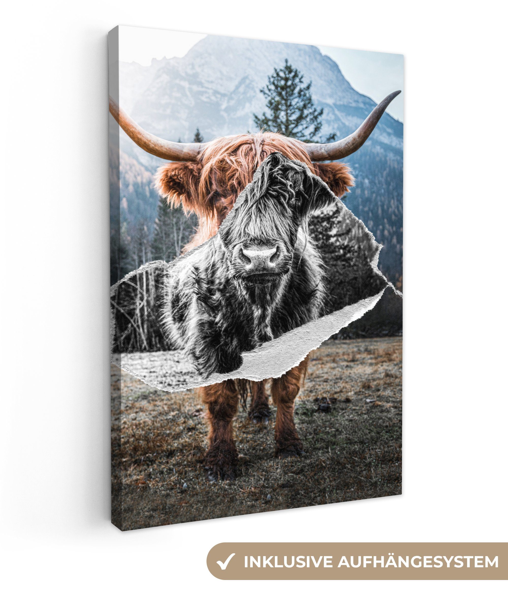 OneMillionCanvasses® Leinwandbild Scottish Highlander - Schwarz - Weiß, (1 St), Leinwandbild fertig bespannt inkl. Zackenaufhänger, Gemälde, 20x30 cm | Leinwandbilder